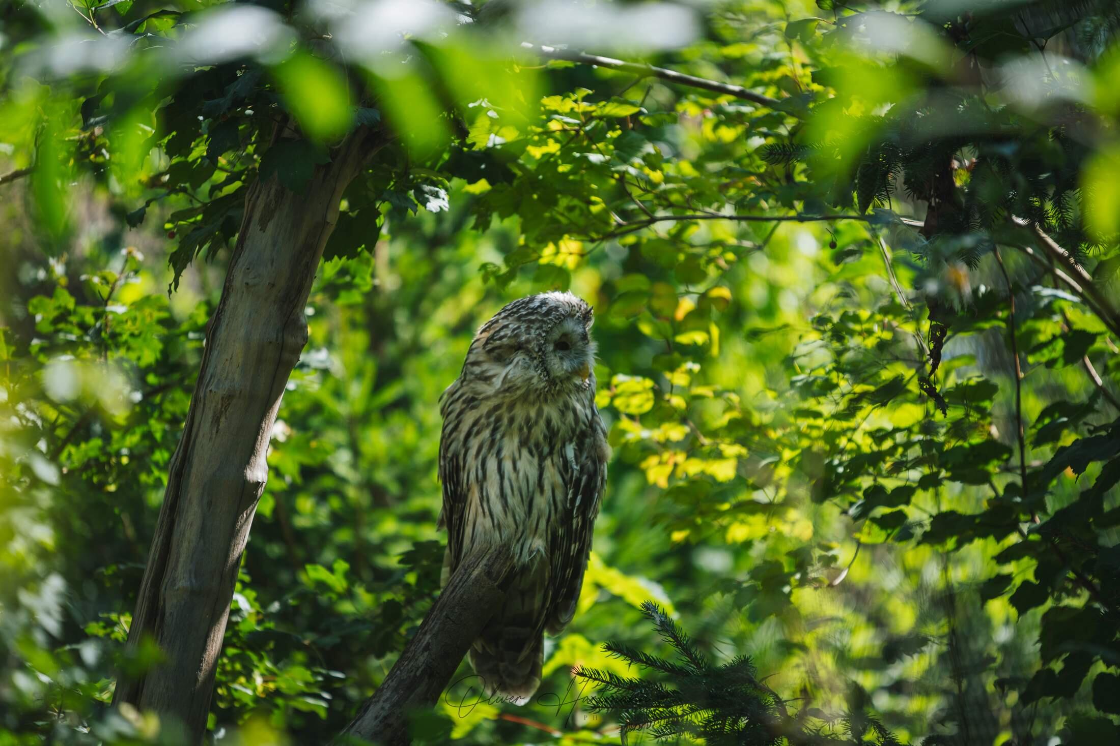 Bild ohne Beschreibung Bild ohne Beschreibung