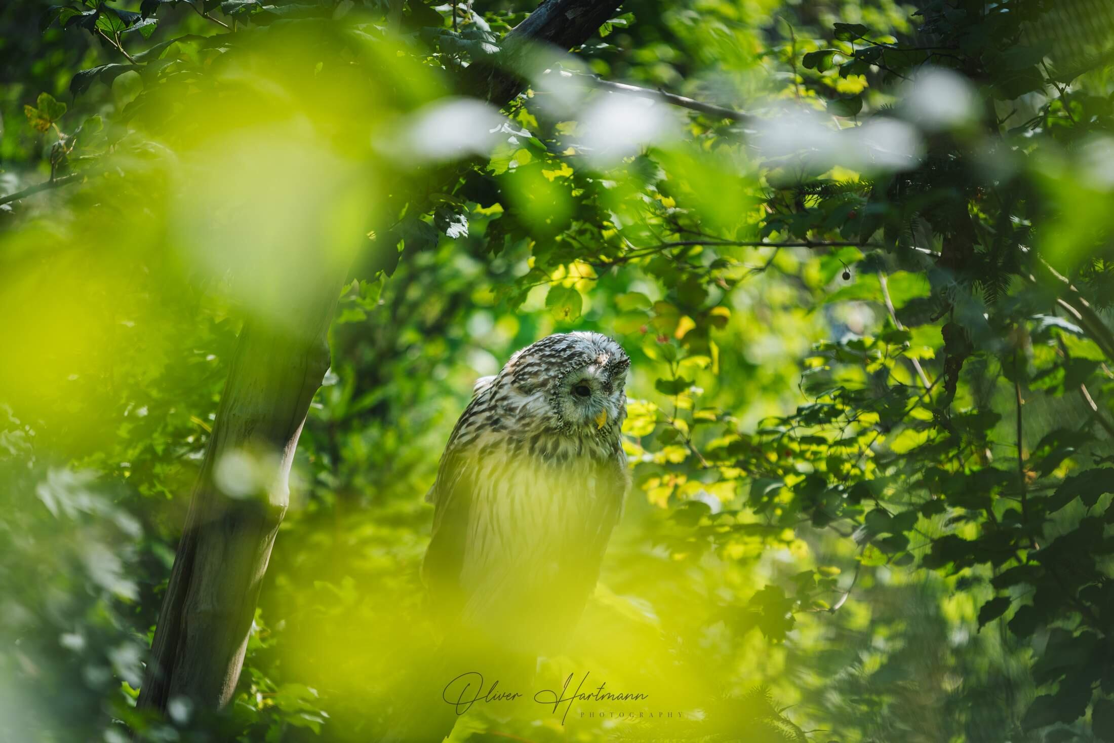 Bild ohne Beschreibung Bild ohne Beschreibung
