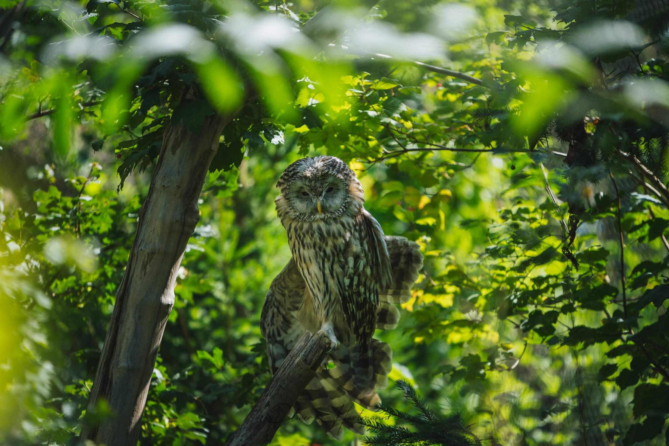 Bild ohne Beschreibung Bild ohne Beschreibung