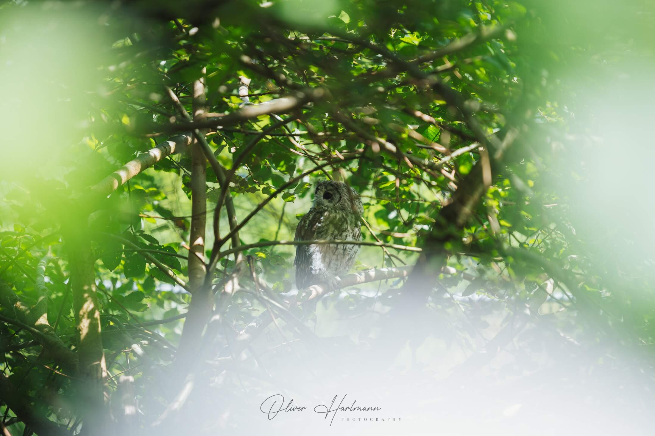 Bild ohne Beschreibung Bild ohne Beschreibung