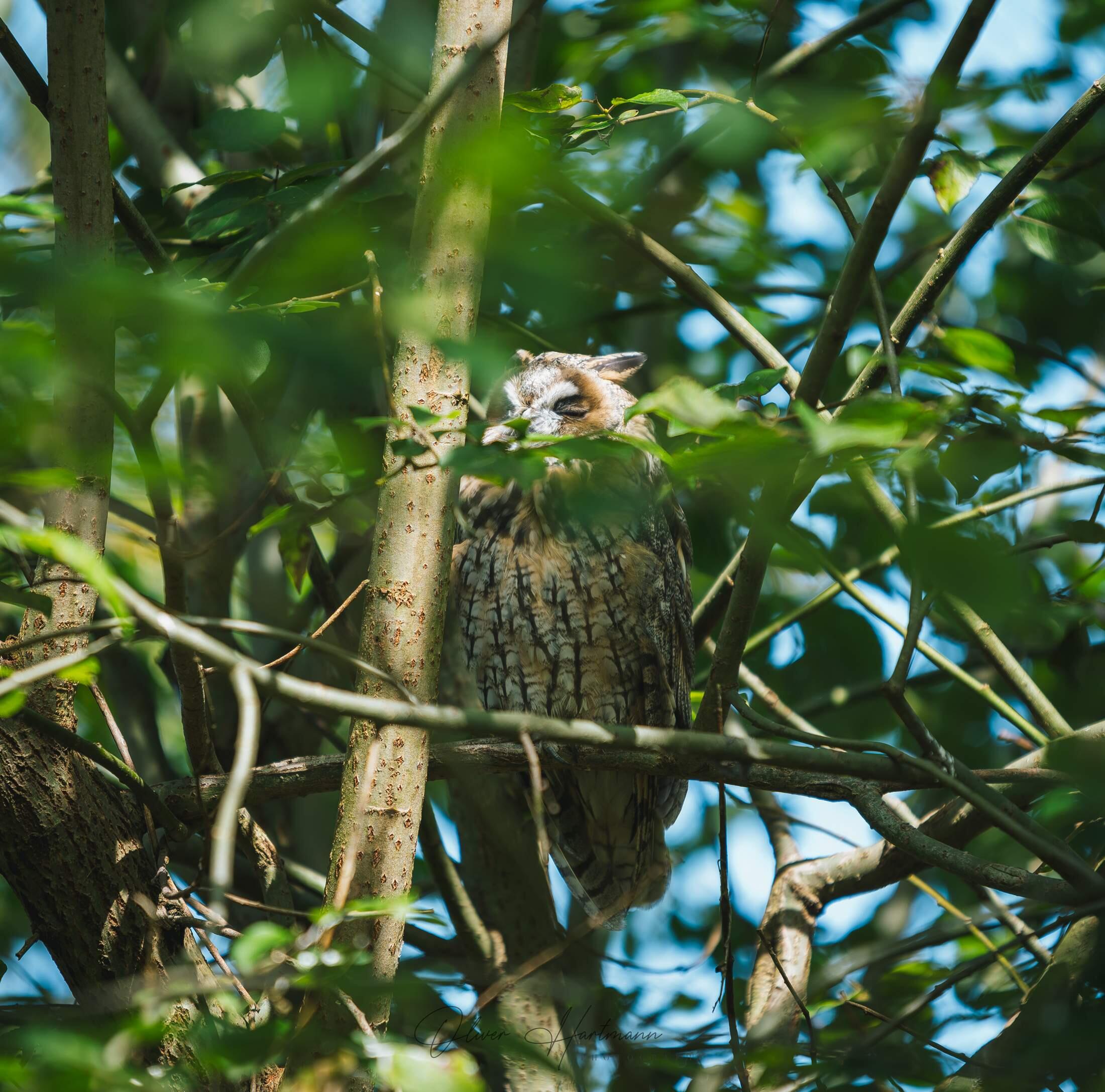 Bild ohne Beschreibung Bild ohne Beschreibung