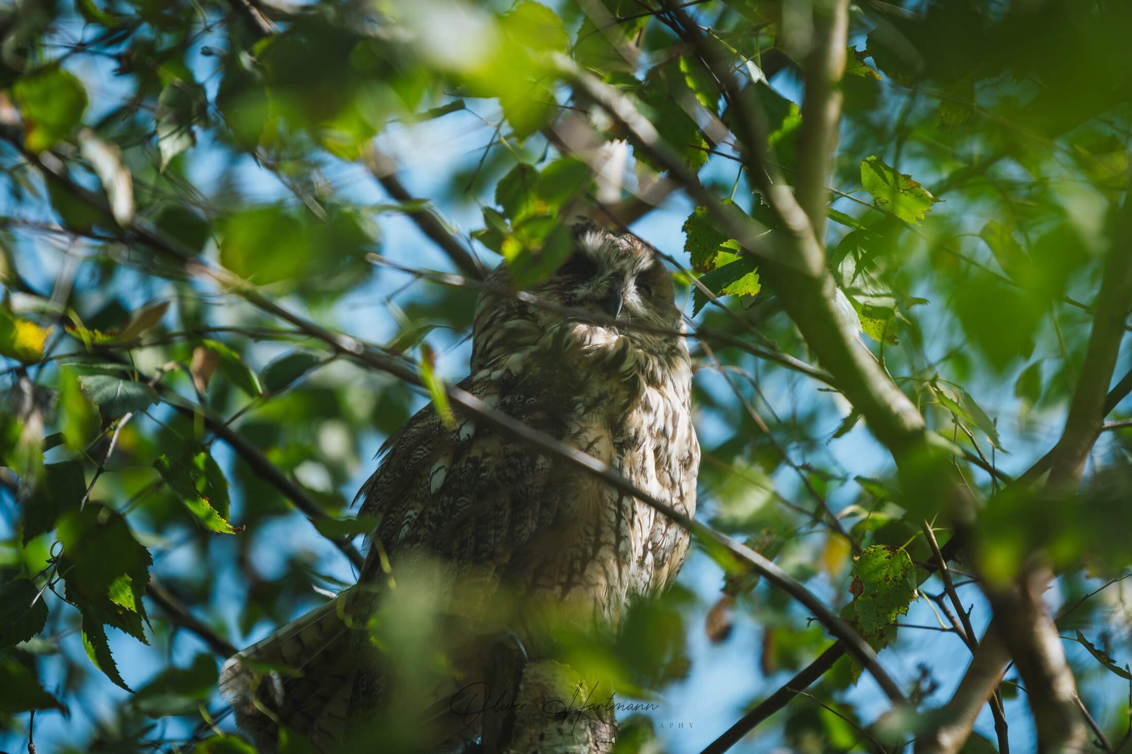 Bild ohne Beschreibung Bild ohne Beschreibung