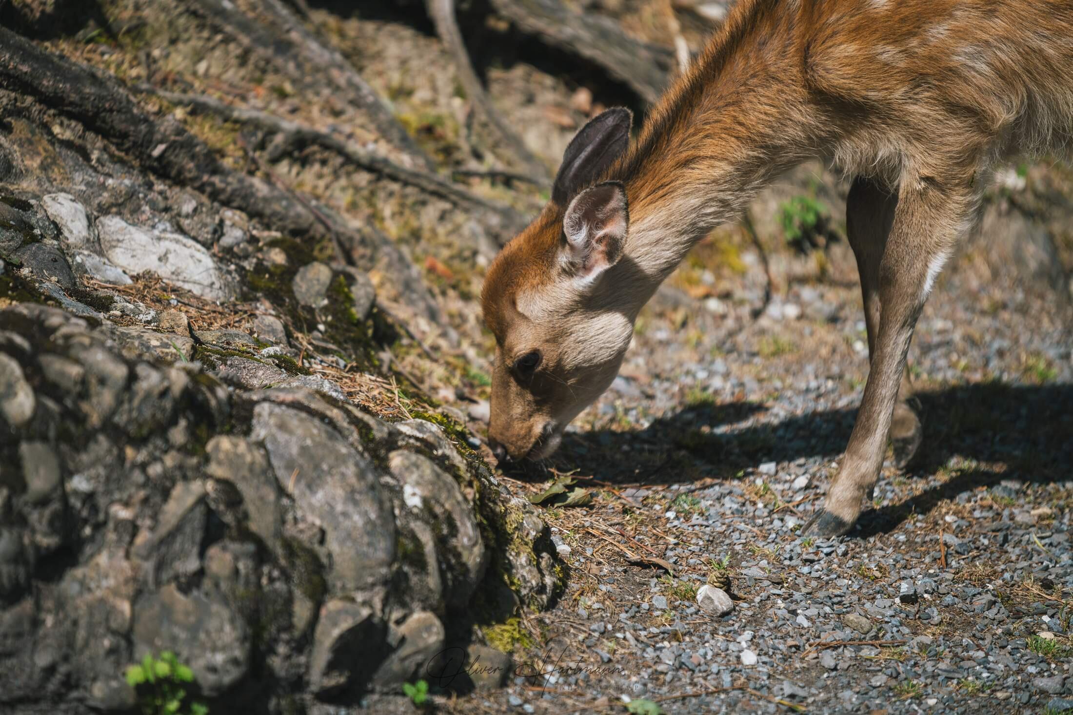 Bild ohne Beschreibung Bild ohne Beschreibung