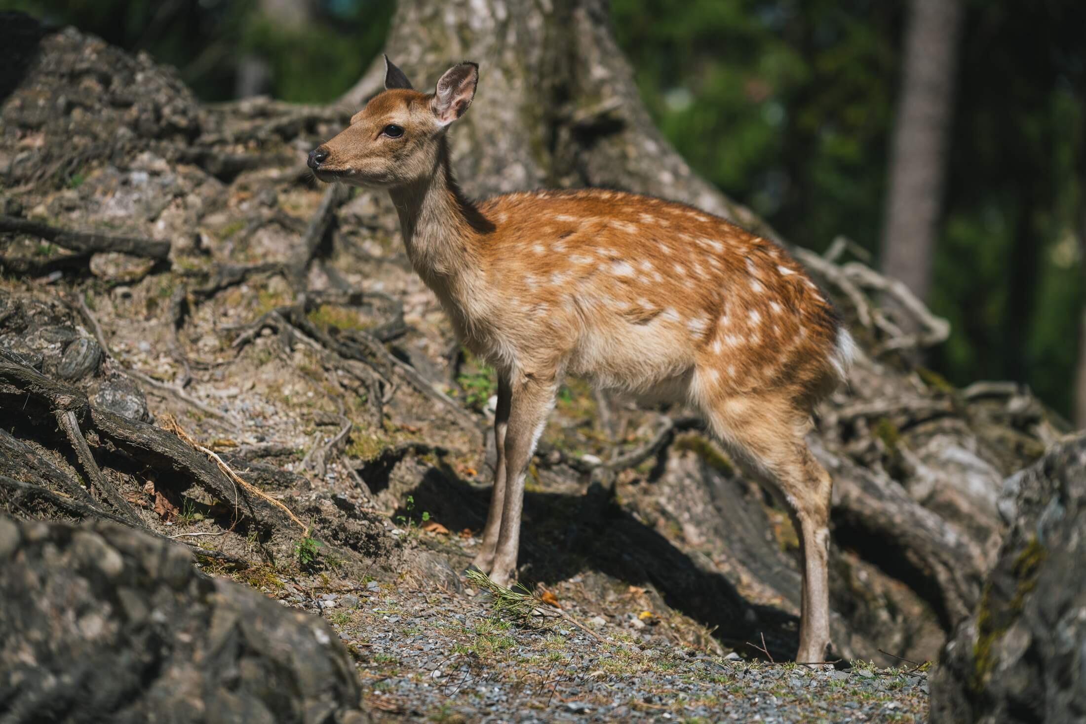 Bild ohne Beschreibung Bild ohne Beschreibung