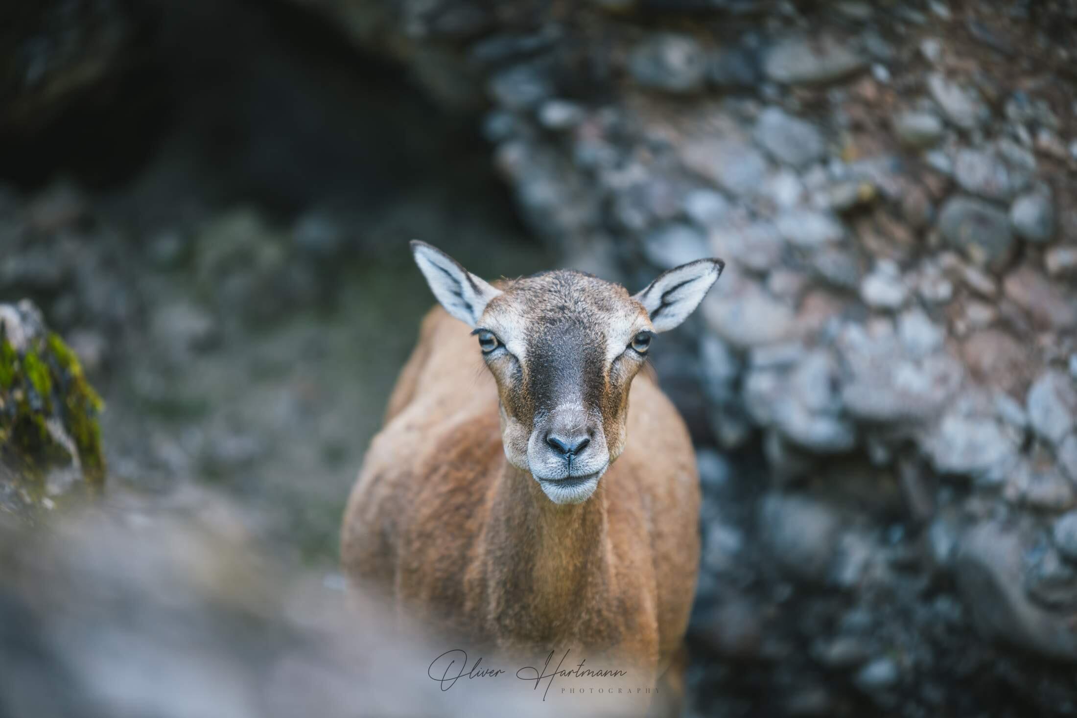 Bild ohne Beschreibung Bild ohne Beschreibung