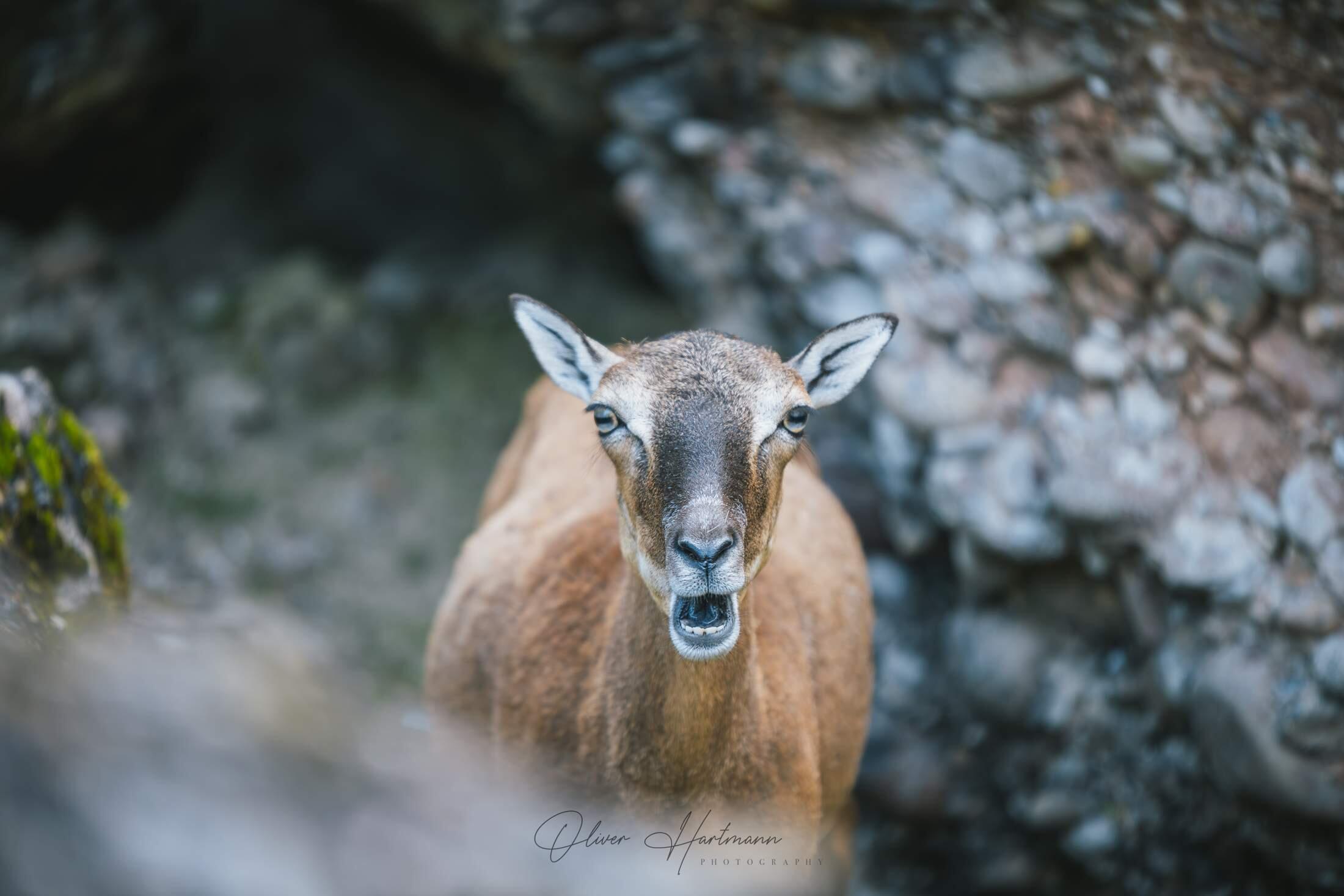 Bild ohne Beschreibung Bild ohne Beschreibung