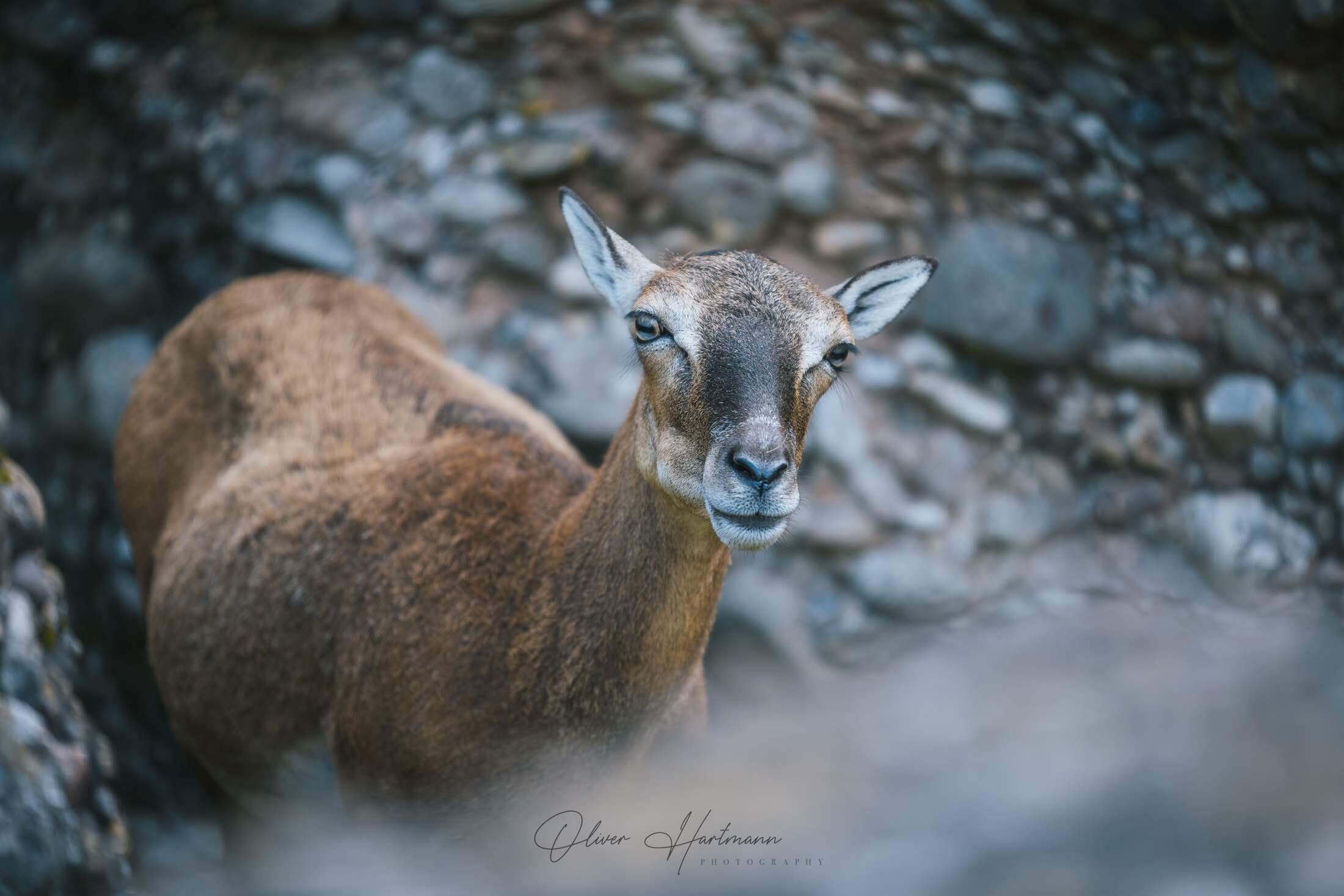 Bild ohne Beschreibung Bild ohne Beschreibung