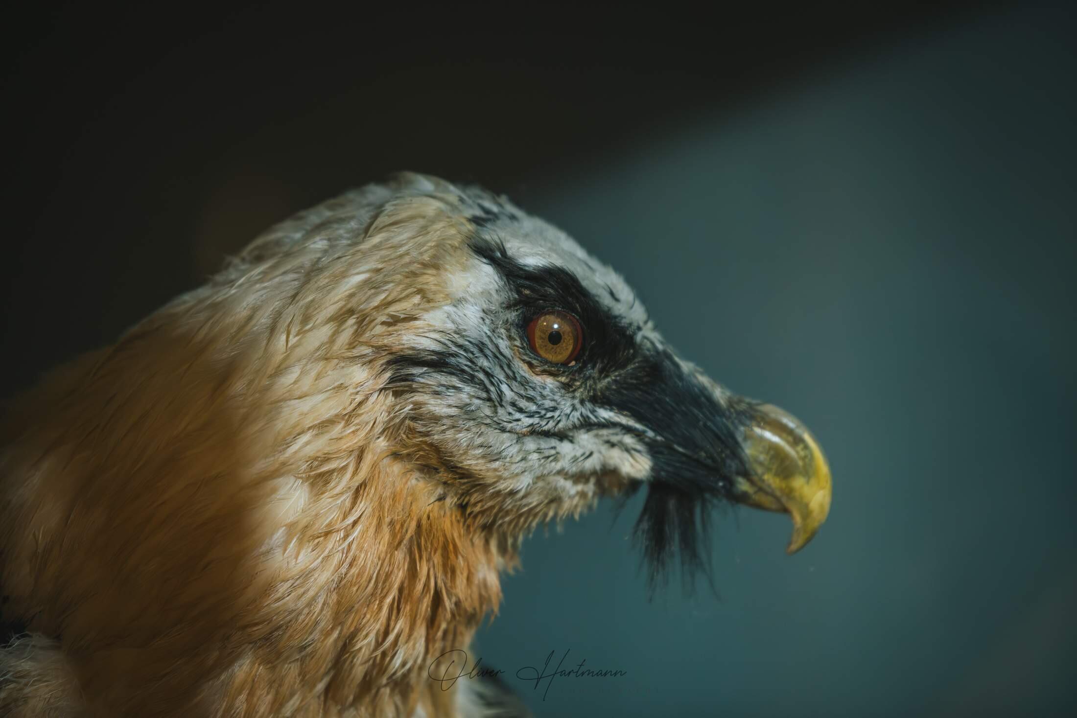 Bild ohne Beschreibung Bild ohne Beschreibung