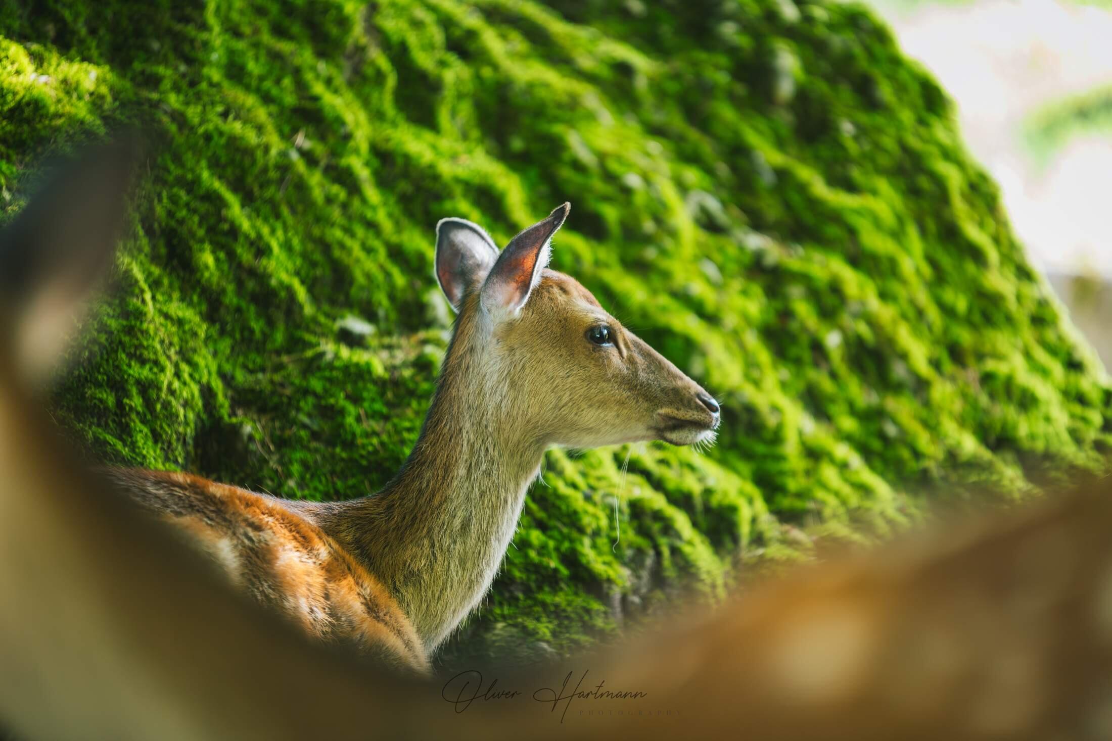 Bild ohne Beschreibung Bild ohne Beschreibung