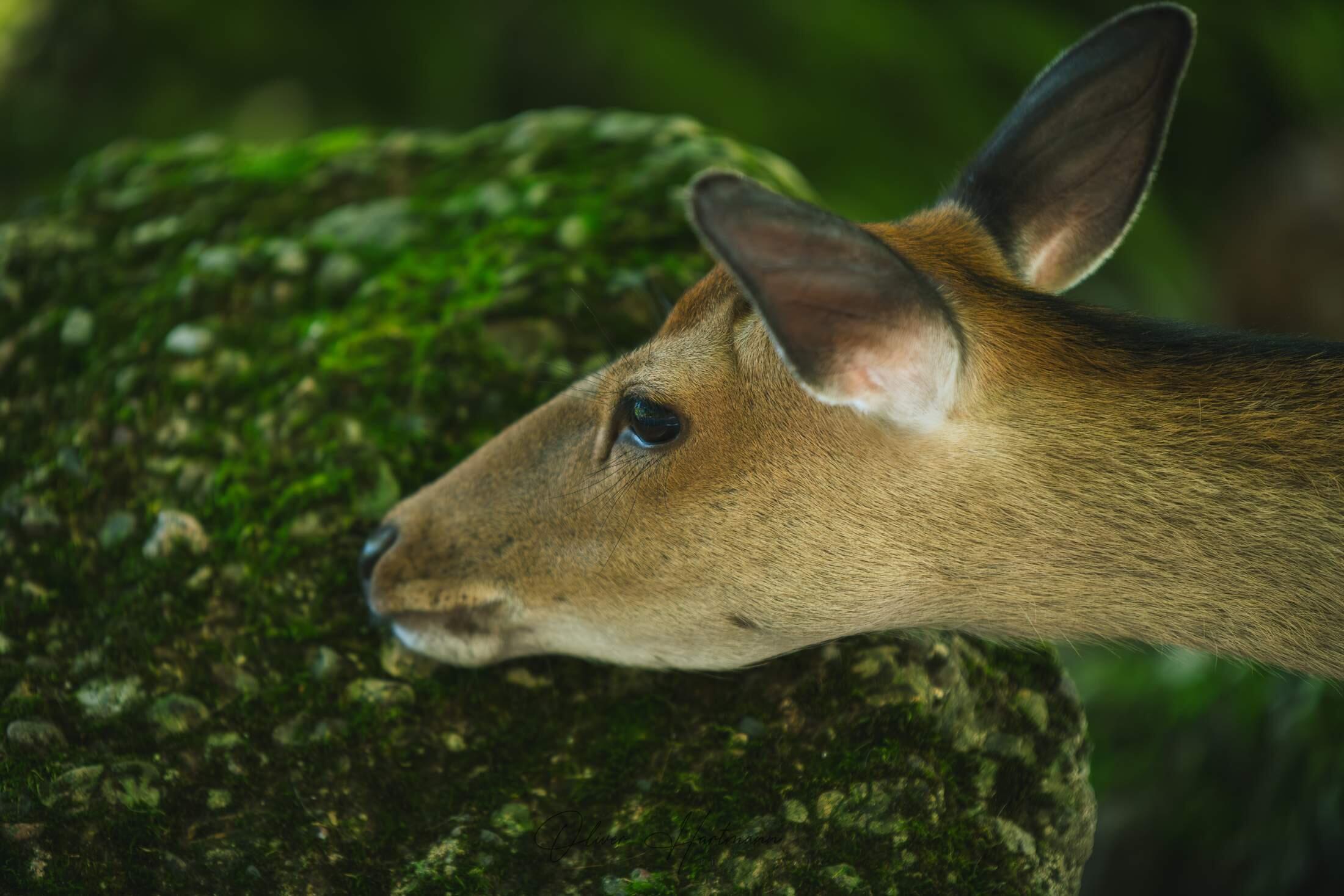Bild ohne Beschreibung Bild ohne Beschreibung