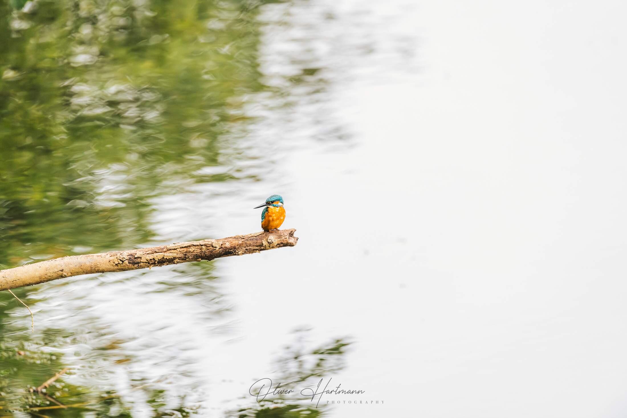 Bild ohne Beschreibung Bild ohne Beschreibung