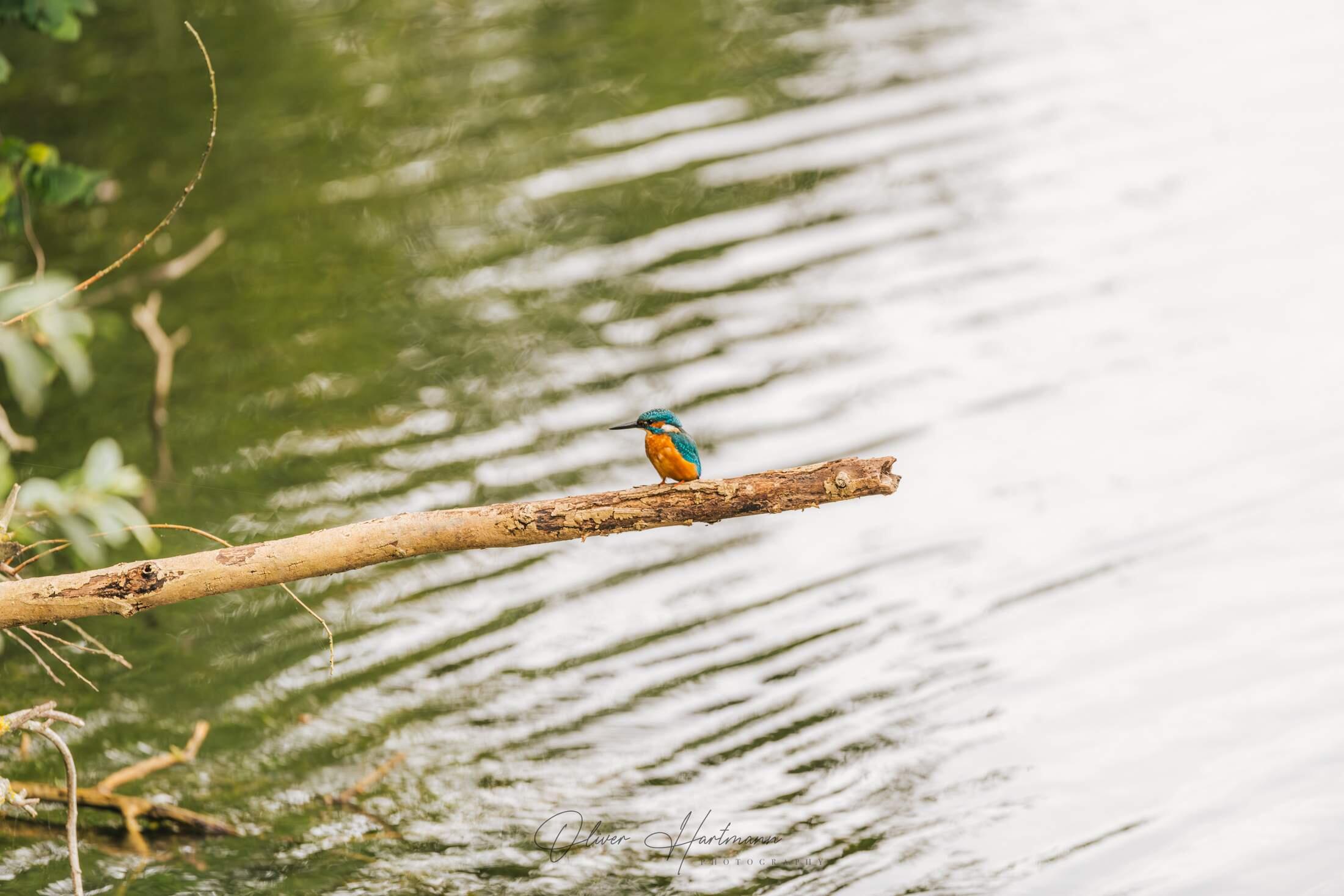 Bild ohne Beschreibung Bild ohne Beschreibung