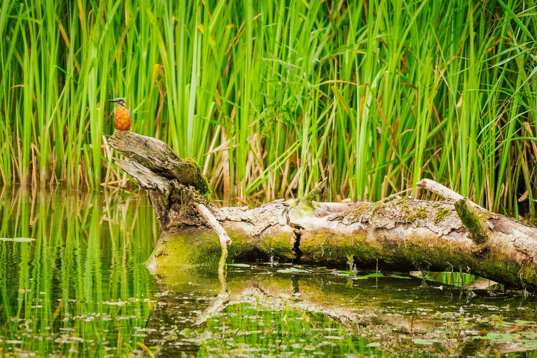 Bild ohne Beschreibung Bild ohne Beschreibung