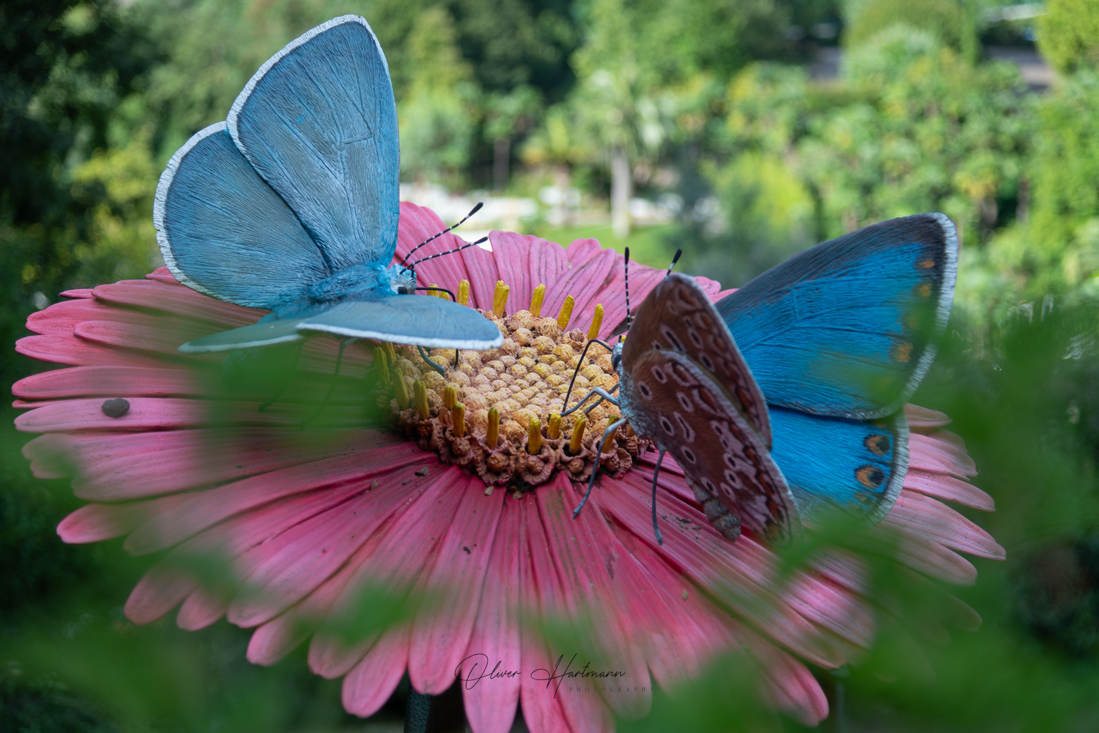 Bild ohne Beschreibung Bild ohne Beschreibung