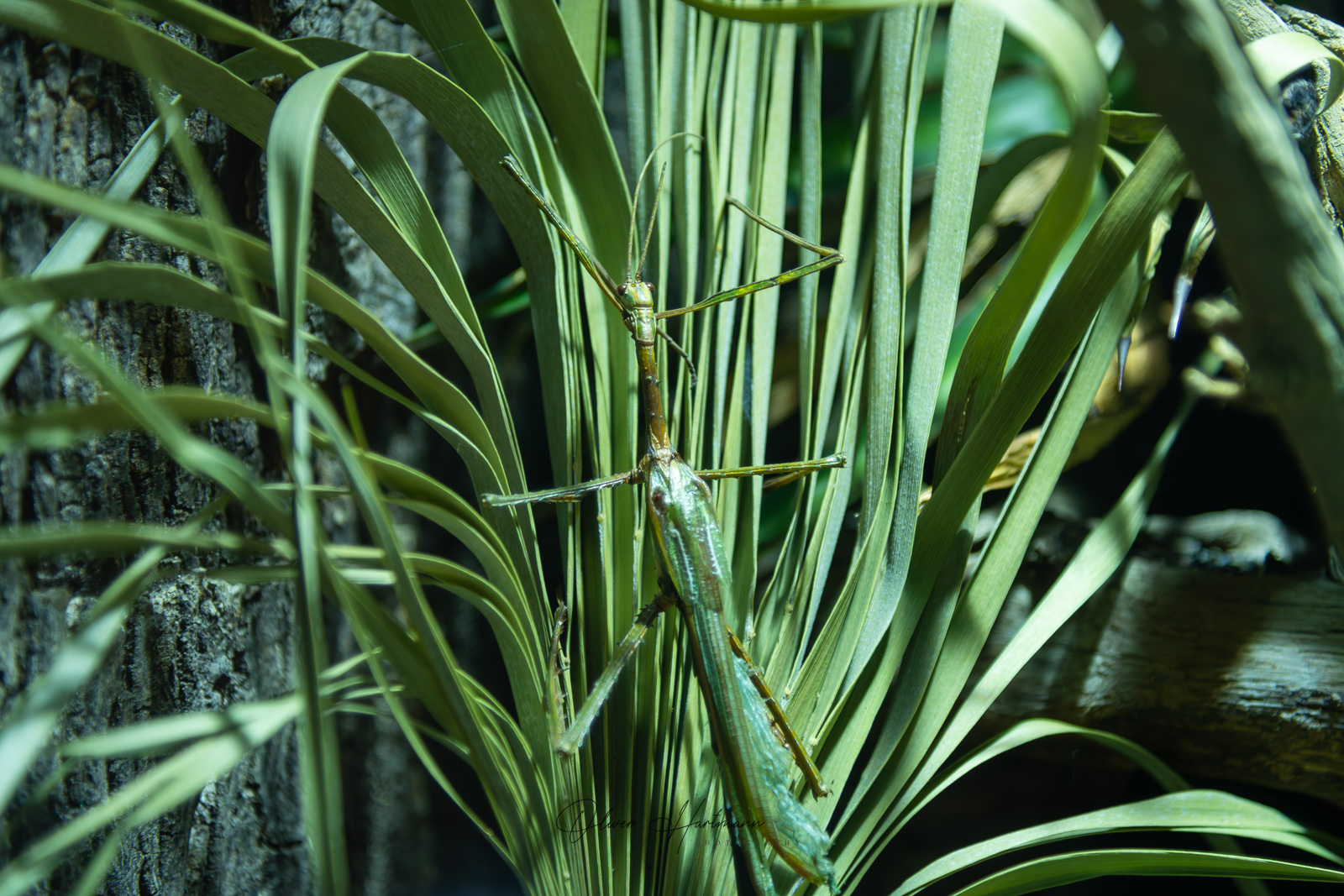 Bild ohne Beschreibung Bild ohne Beschreibung