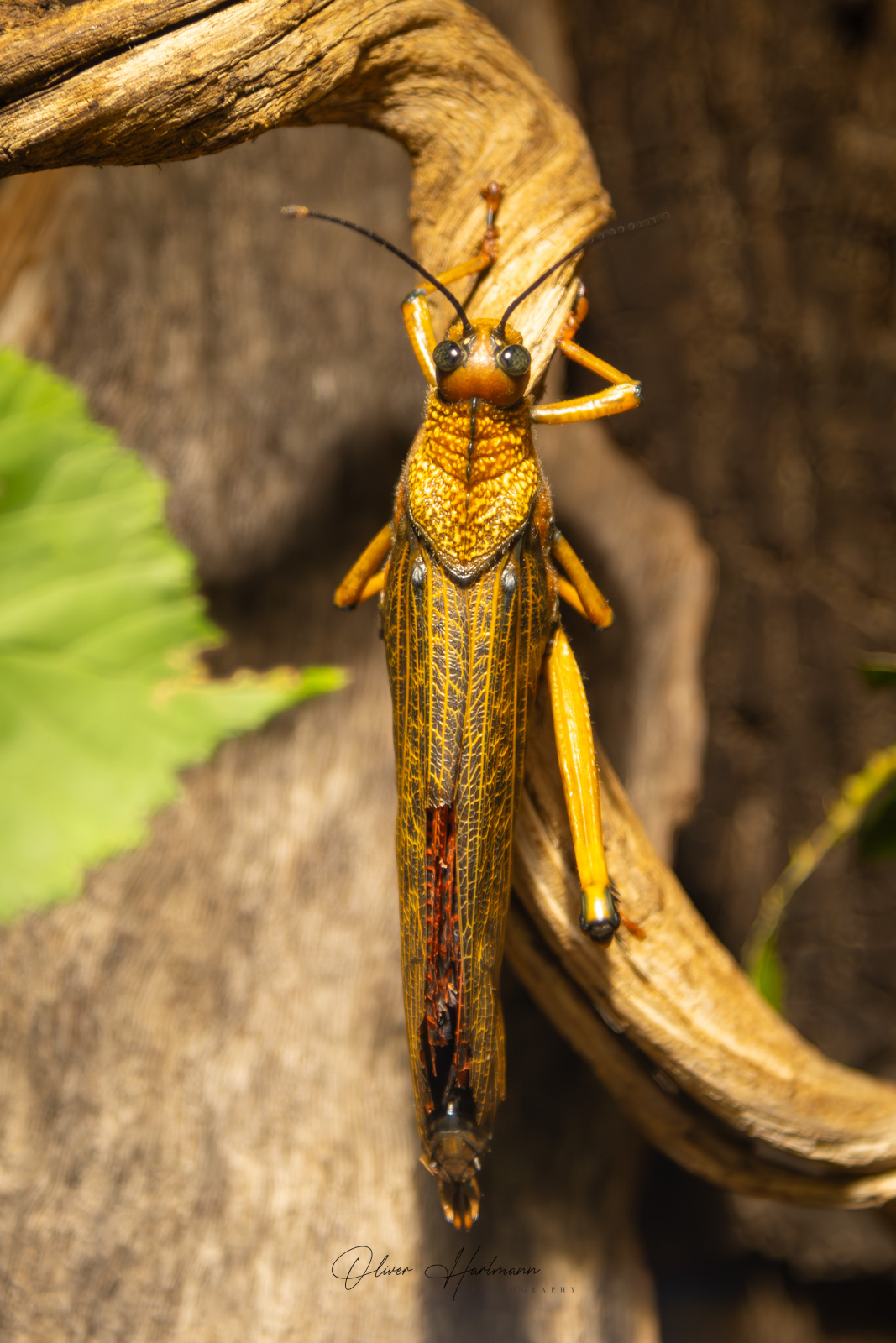 Bild ohne Beschreibung Bild ohne Beschreibung