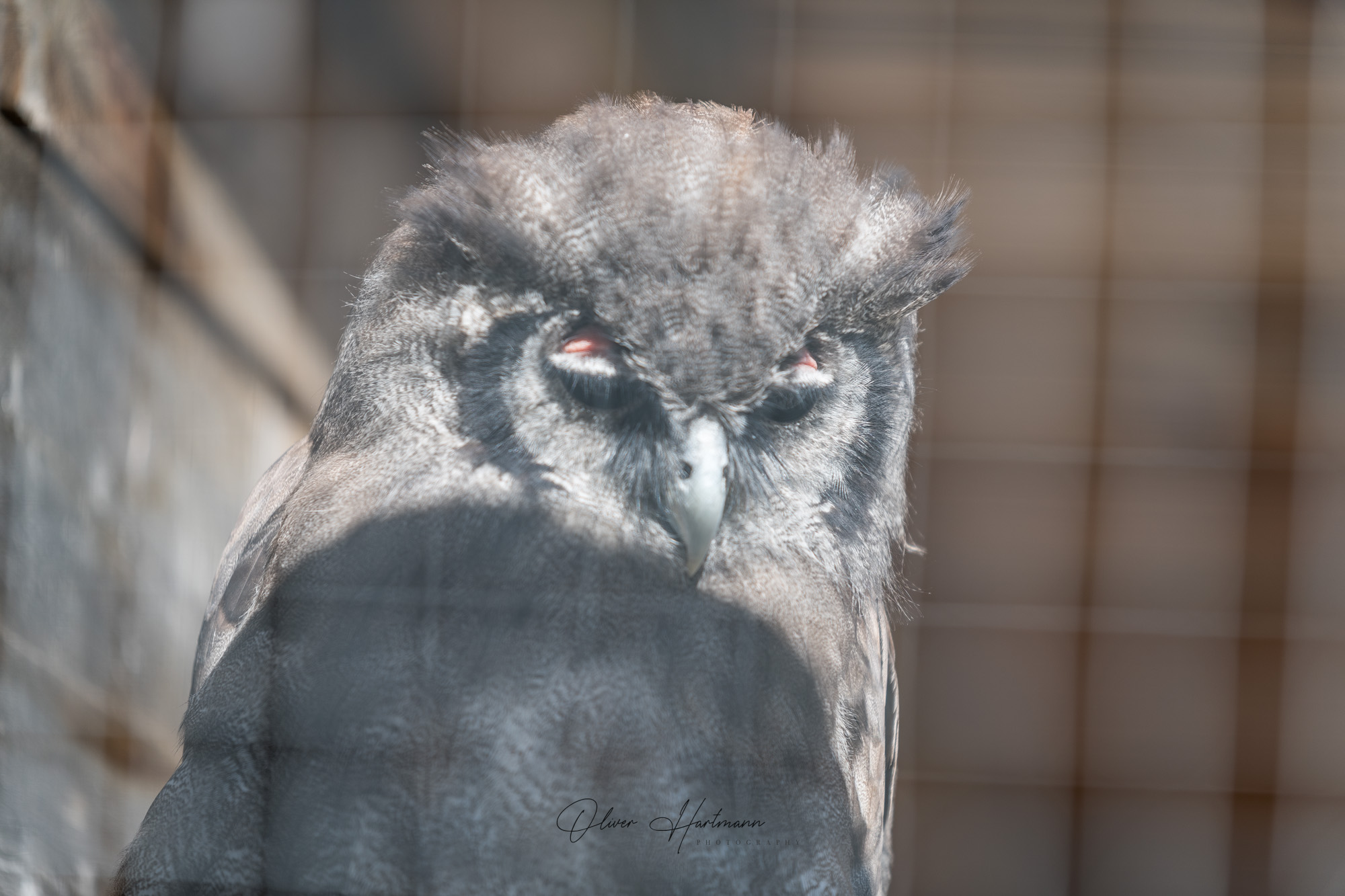 Bild ohne Beschreibung Bild ohne Beschreibung