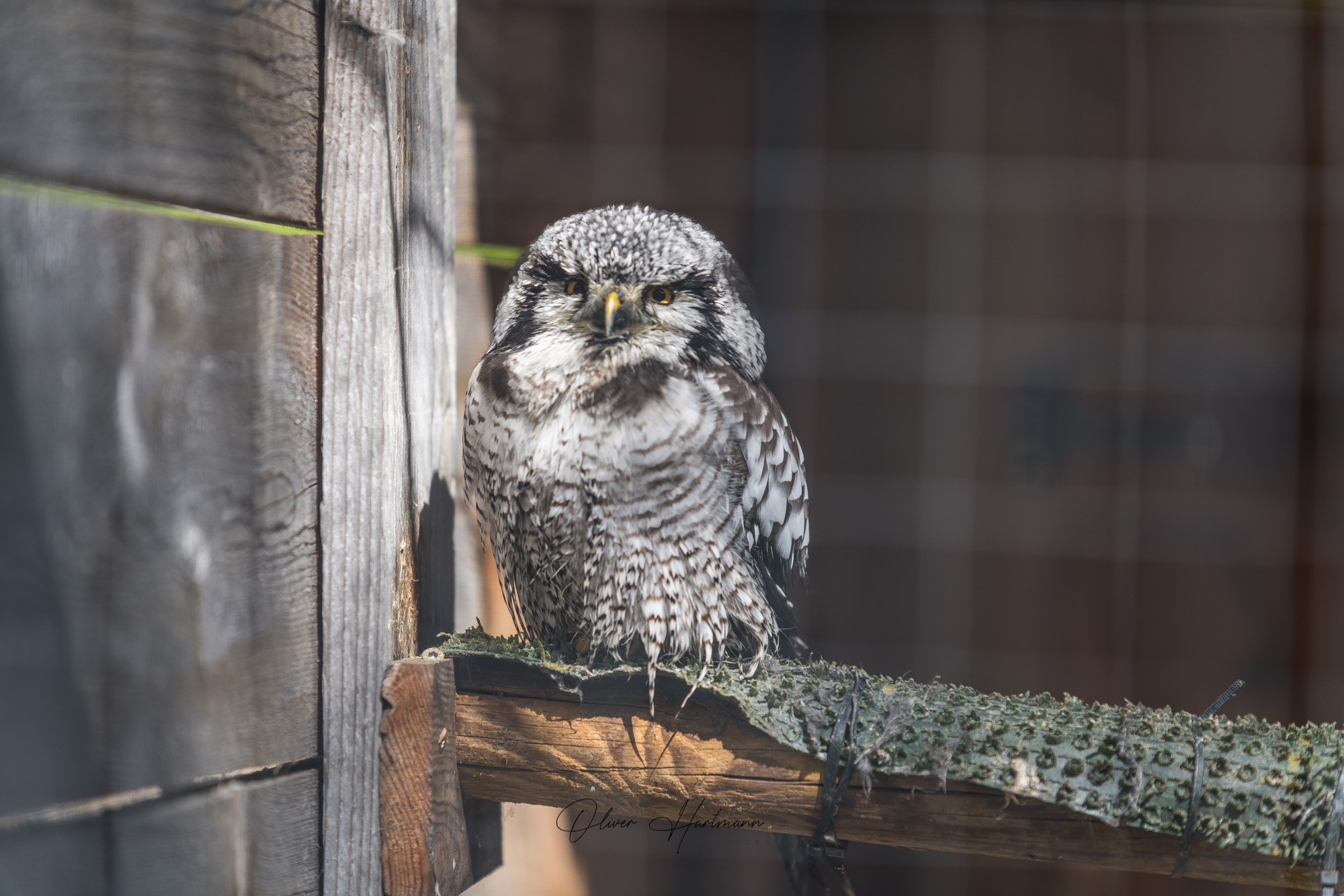 Bild ohne Beschreibung Bild ohne Beschreibung