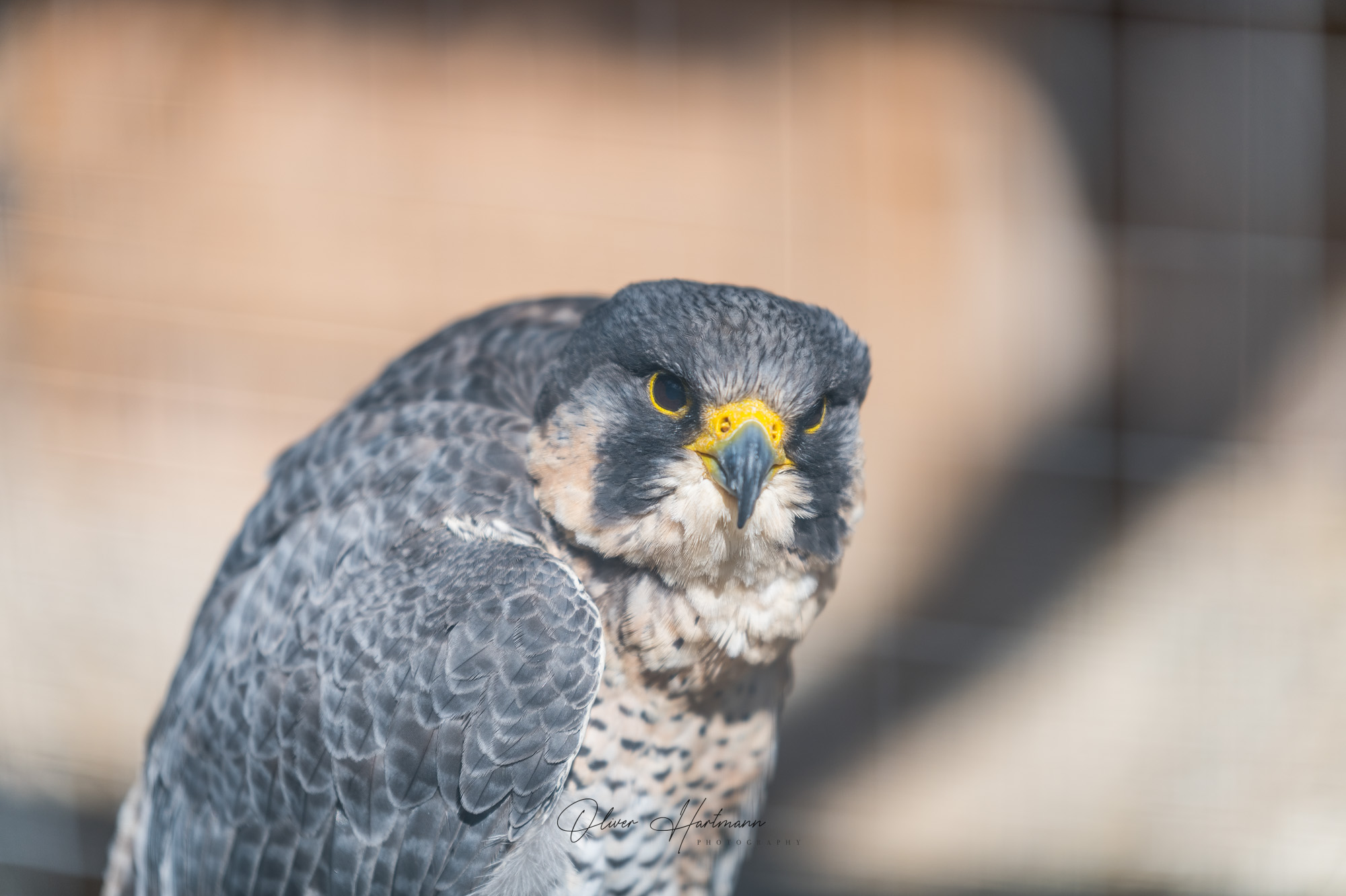 Bild ohne Beschreibung Bild ohne Beschreibung