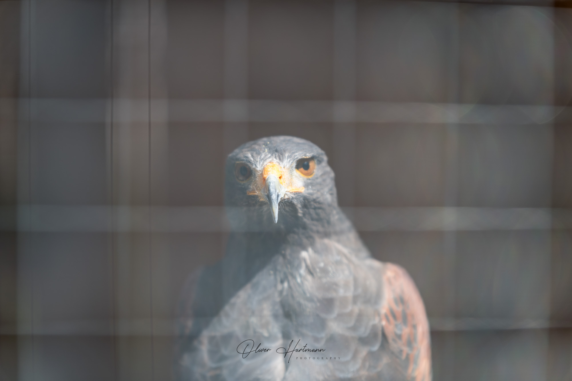 Bild ohne Beschreibung Bild ohne Beschreibung