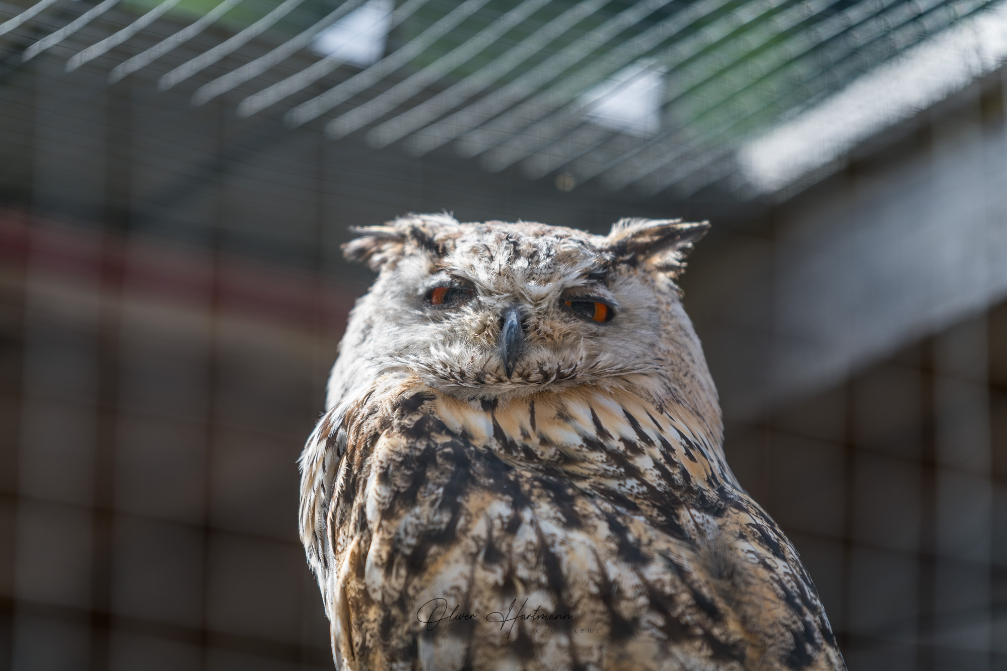 Bild ohne Beschreibung Bild ohne Beschreibung