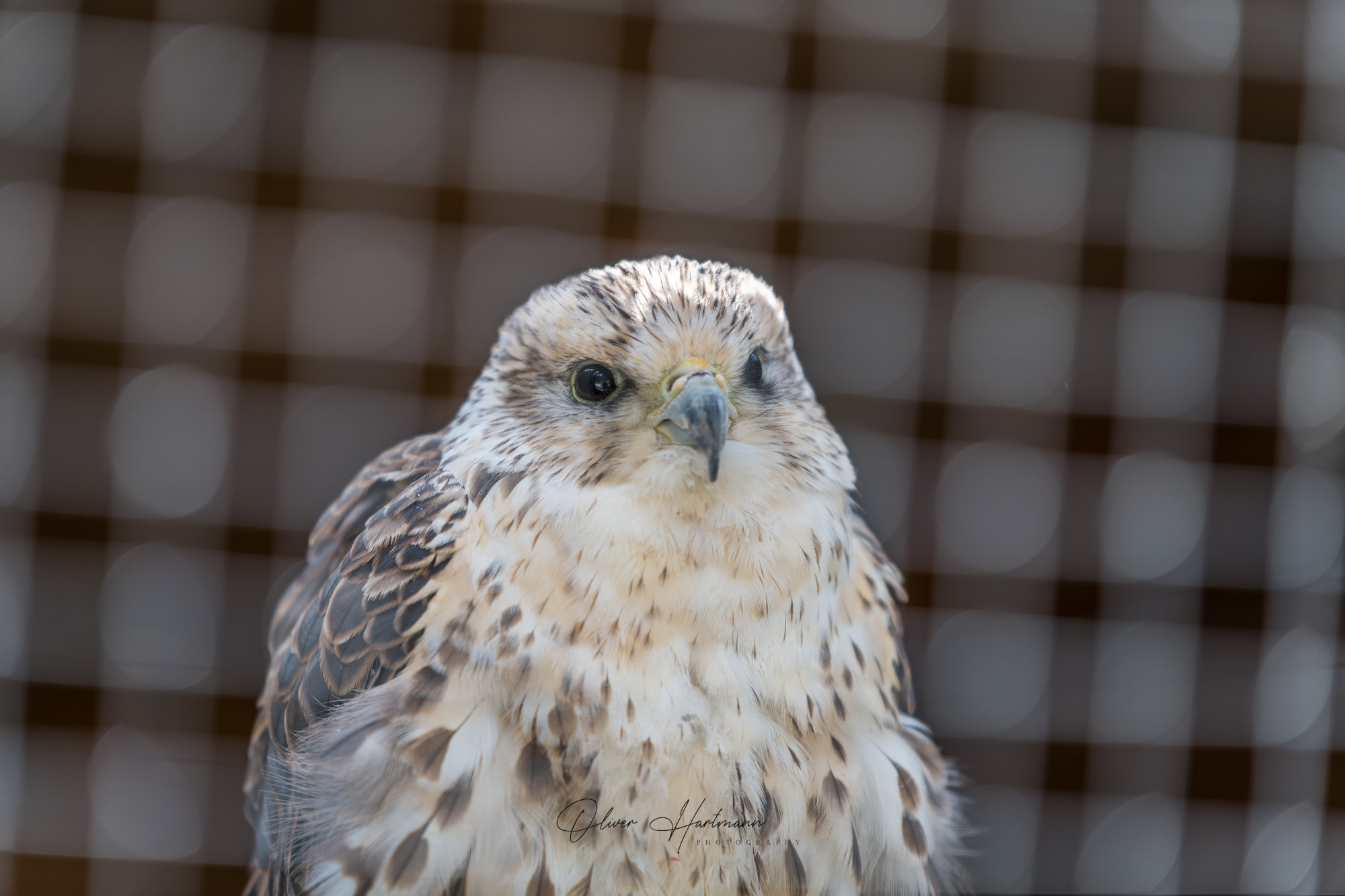 Bild ohne Beschreibung Bild ohne Beschreibung