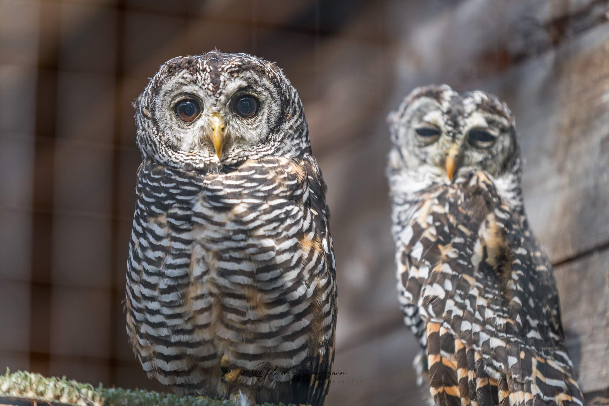 Bild ohne Beschreibung Bild ohne Beschreibung