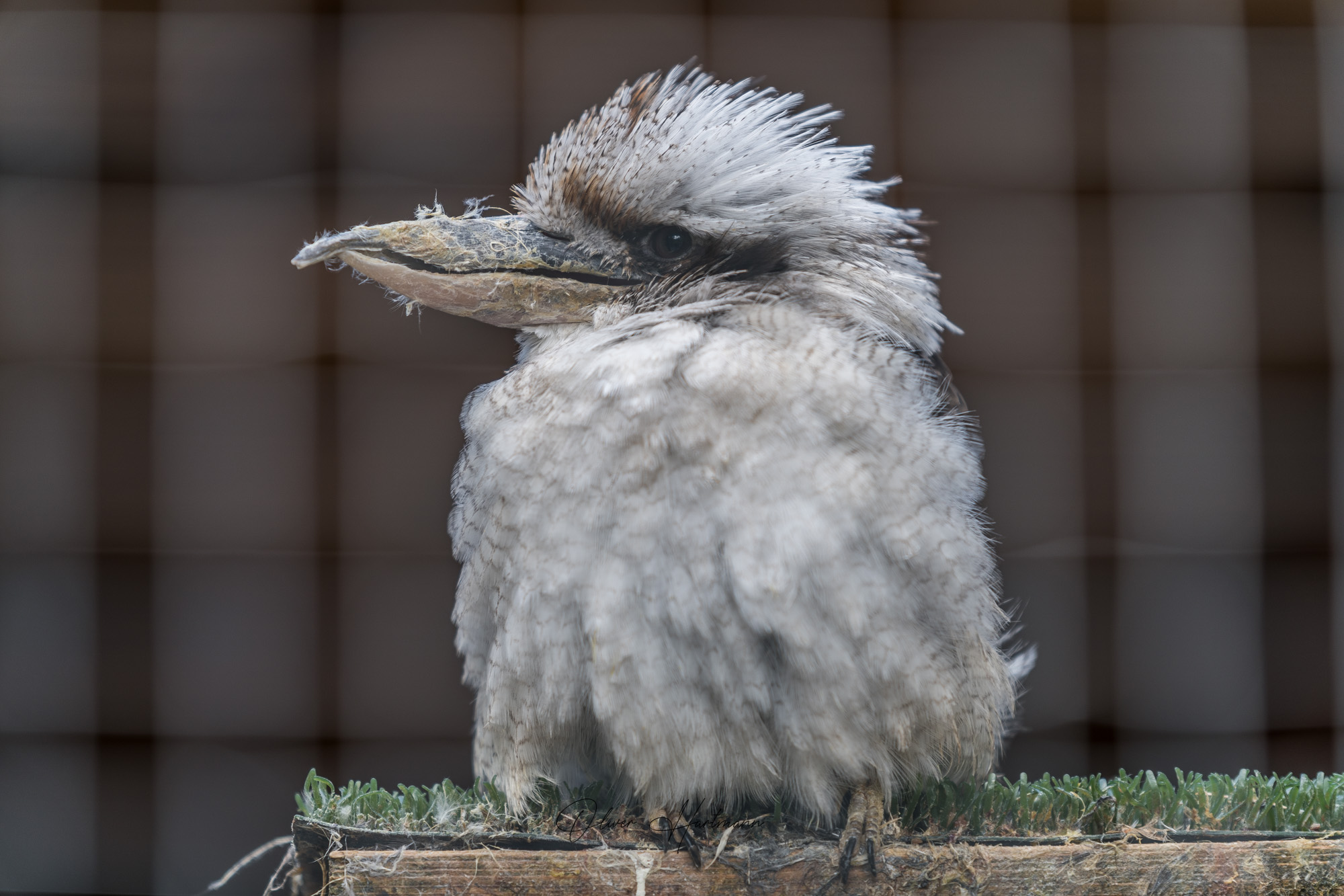 Bild ohne Beschreibung Bild ohne Beschreibung
