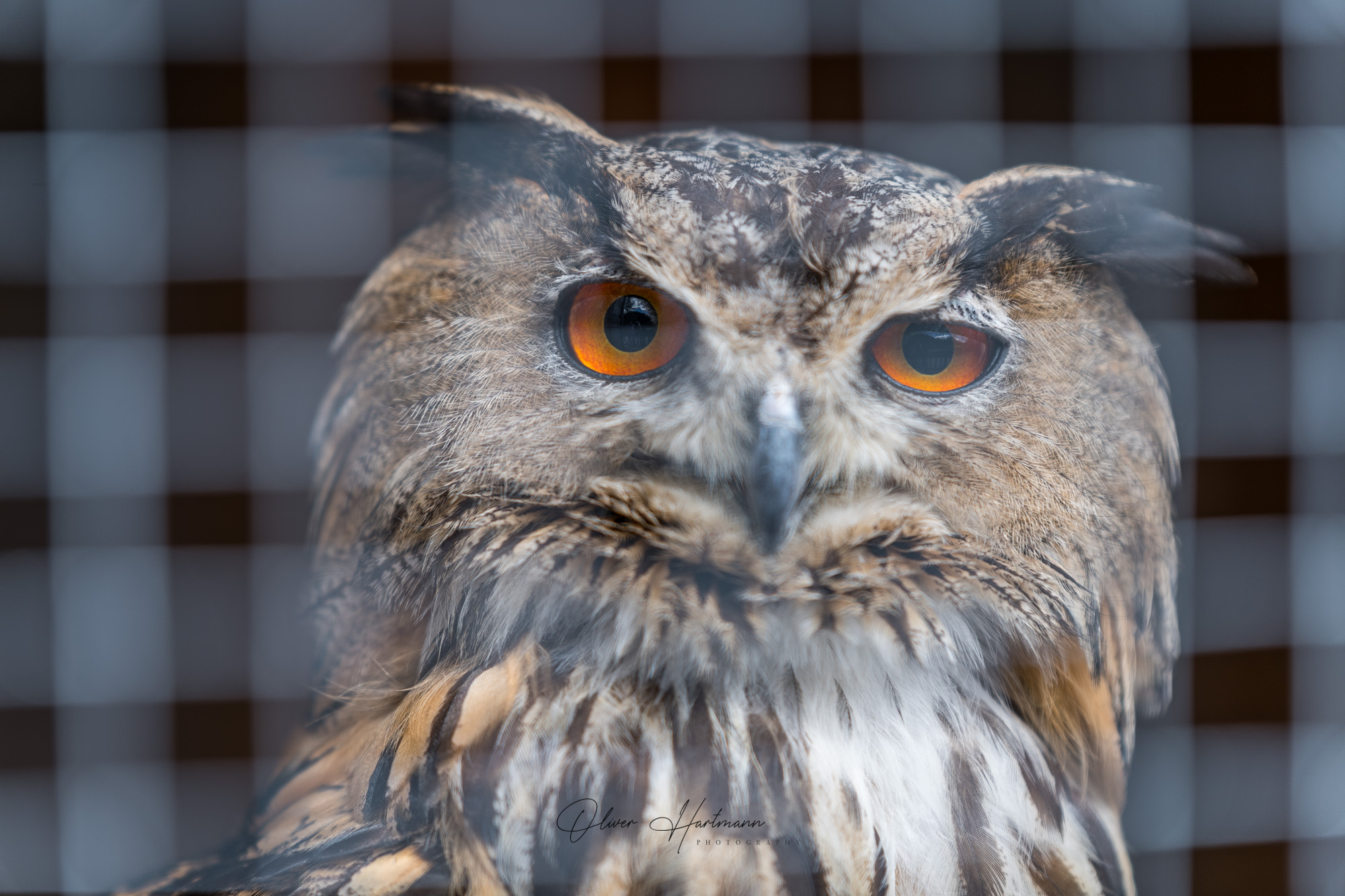 Bild ohne Beschreibung Bild ohne Beschreibung