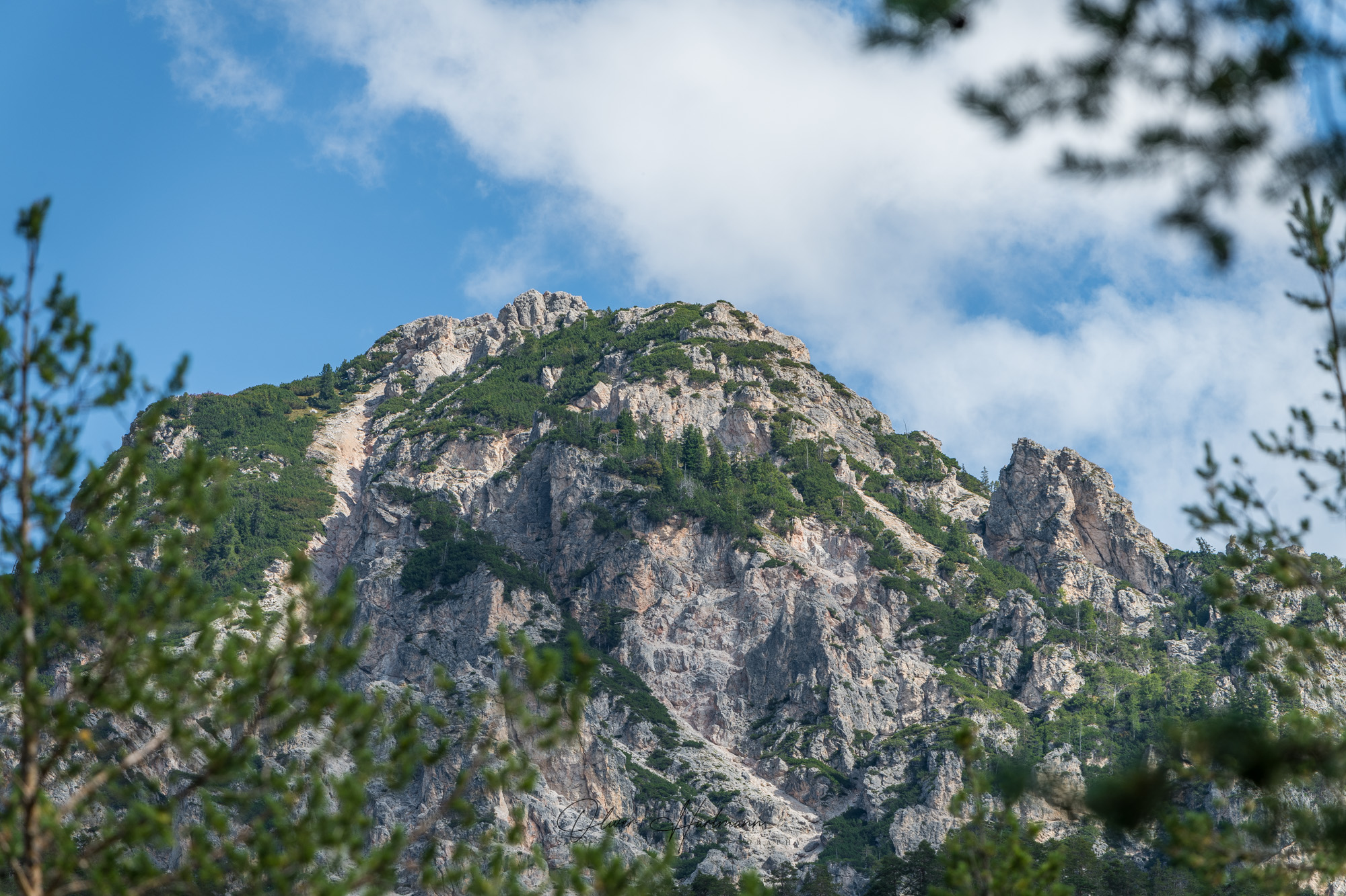 Bild ohne Beschreibung Bild ohne Beschreibung