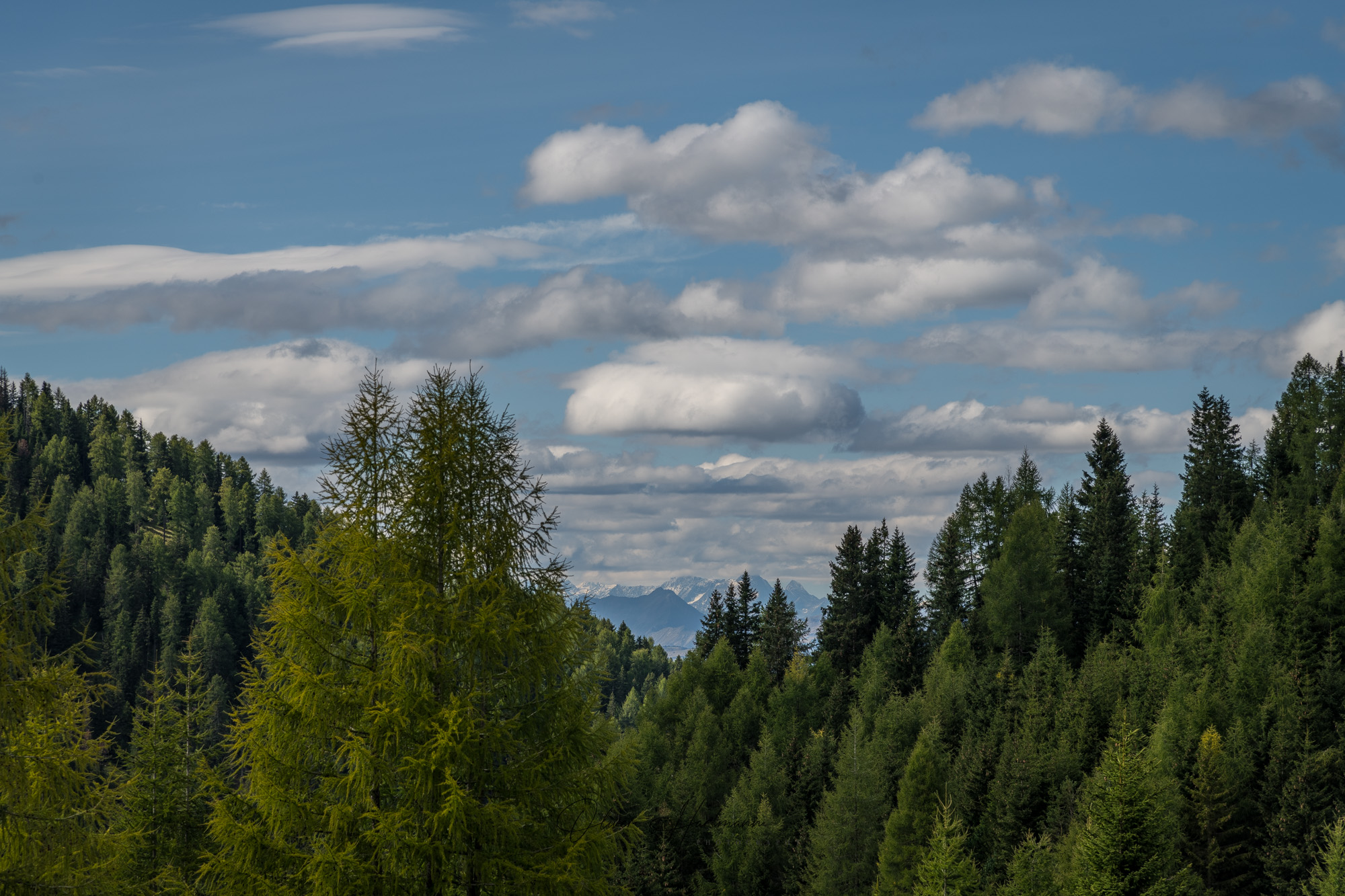 Bild ohne Beschreibung Bild ohne Beschreibung