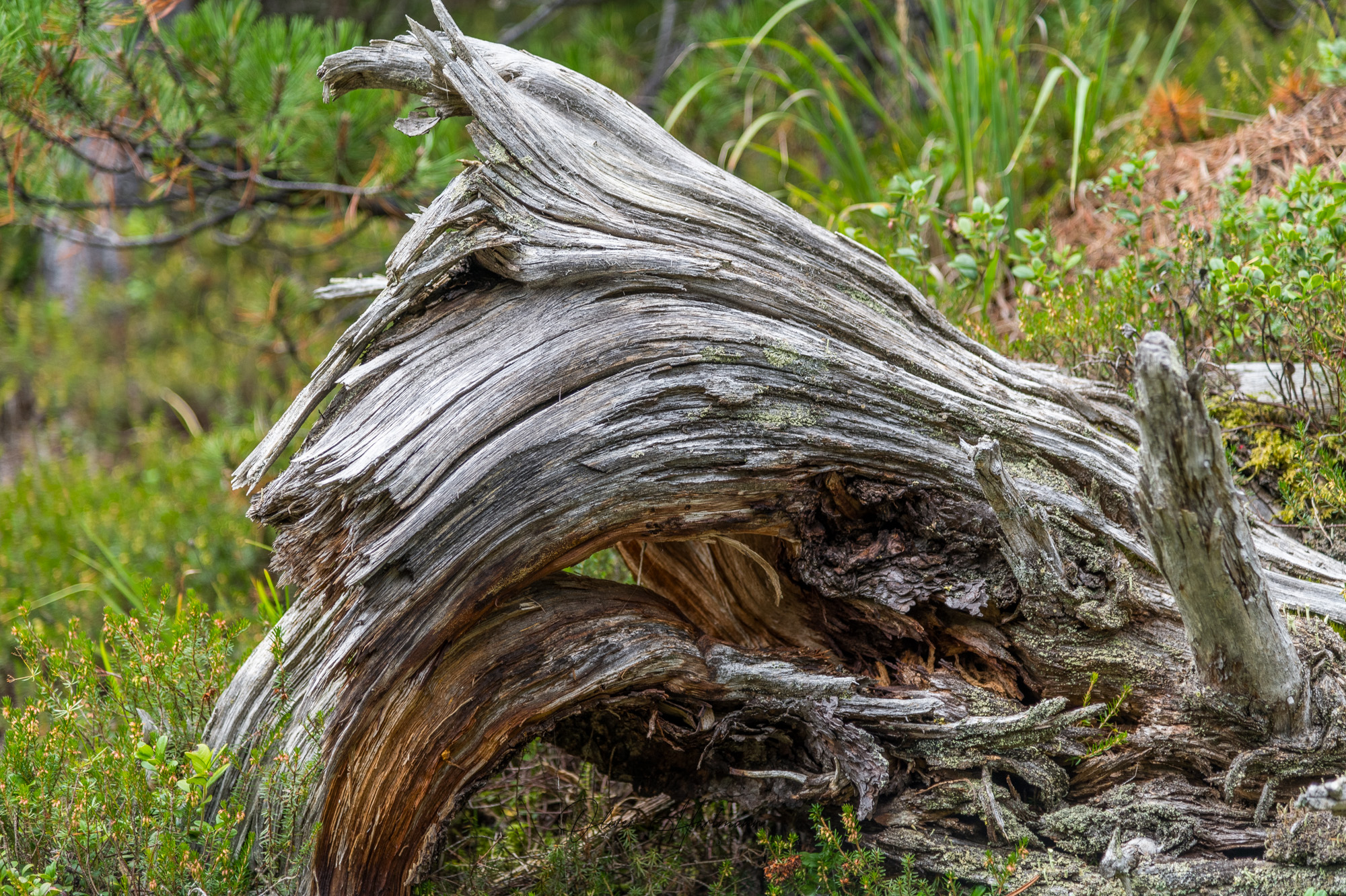 Bild ohne Beschreibung Bild ohne Beschreibung