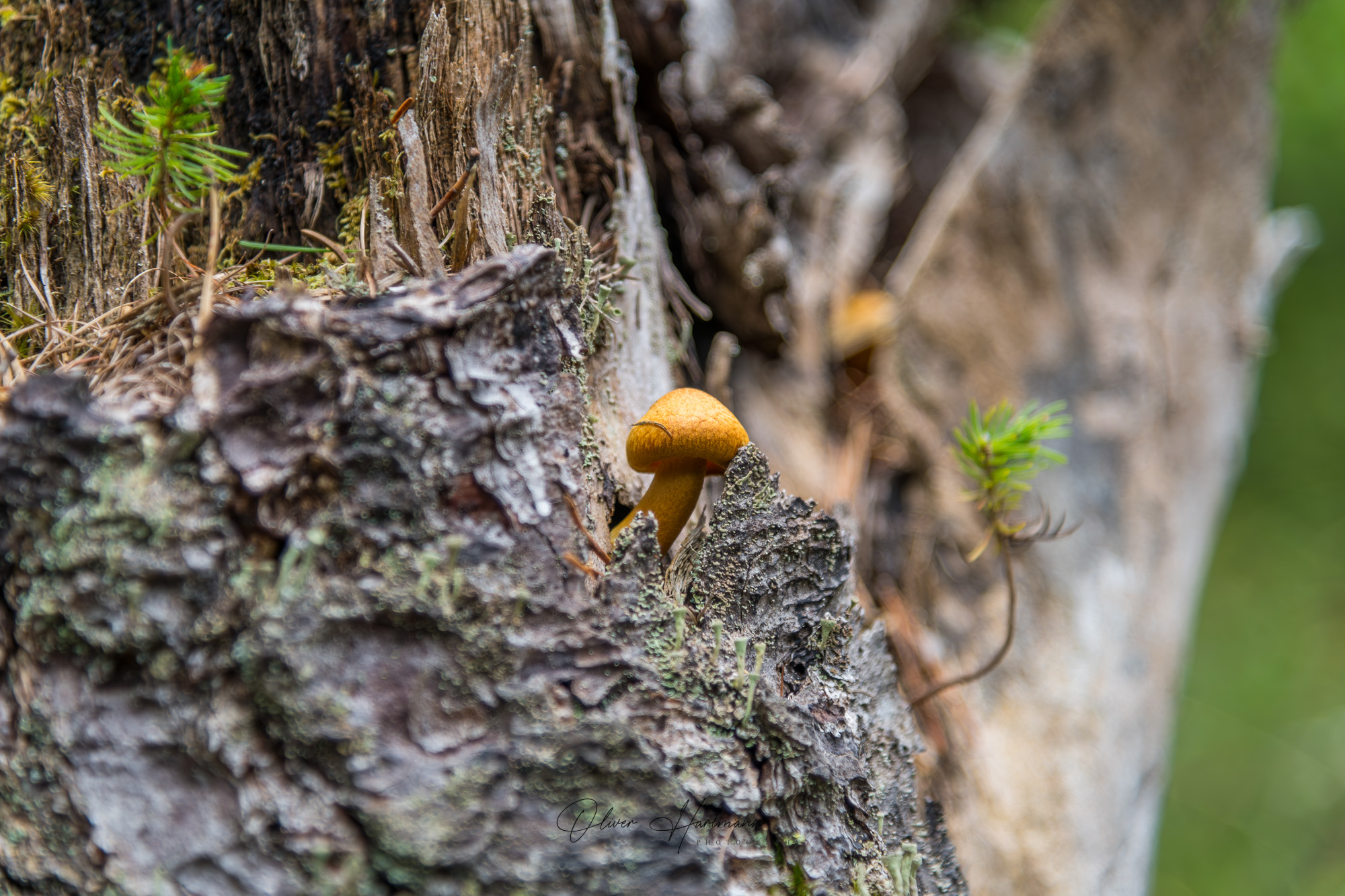 Bild ohne Beschreibung Bild ohne Beschreibung