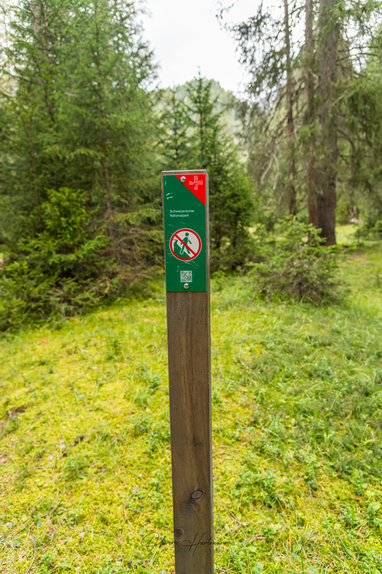 Bild ohne Beschreibung Bild ohne Beschreibung