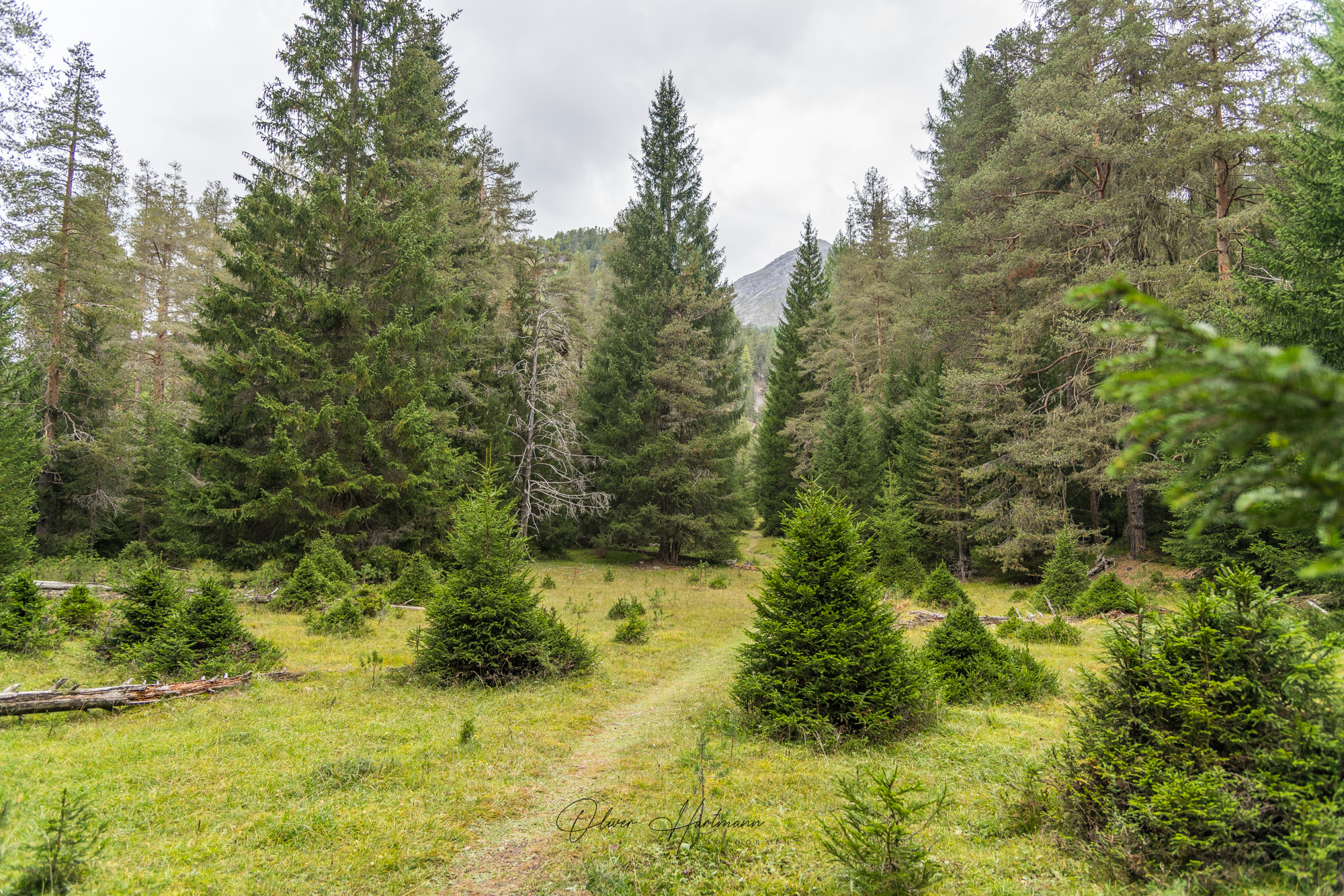 Bild ohne Beschreibung Bild ohne Beschreibung