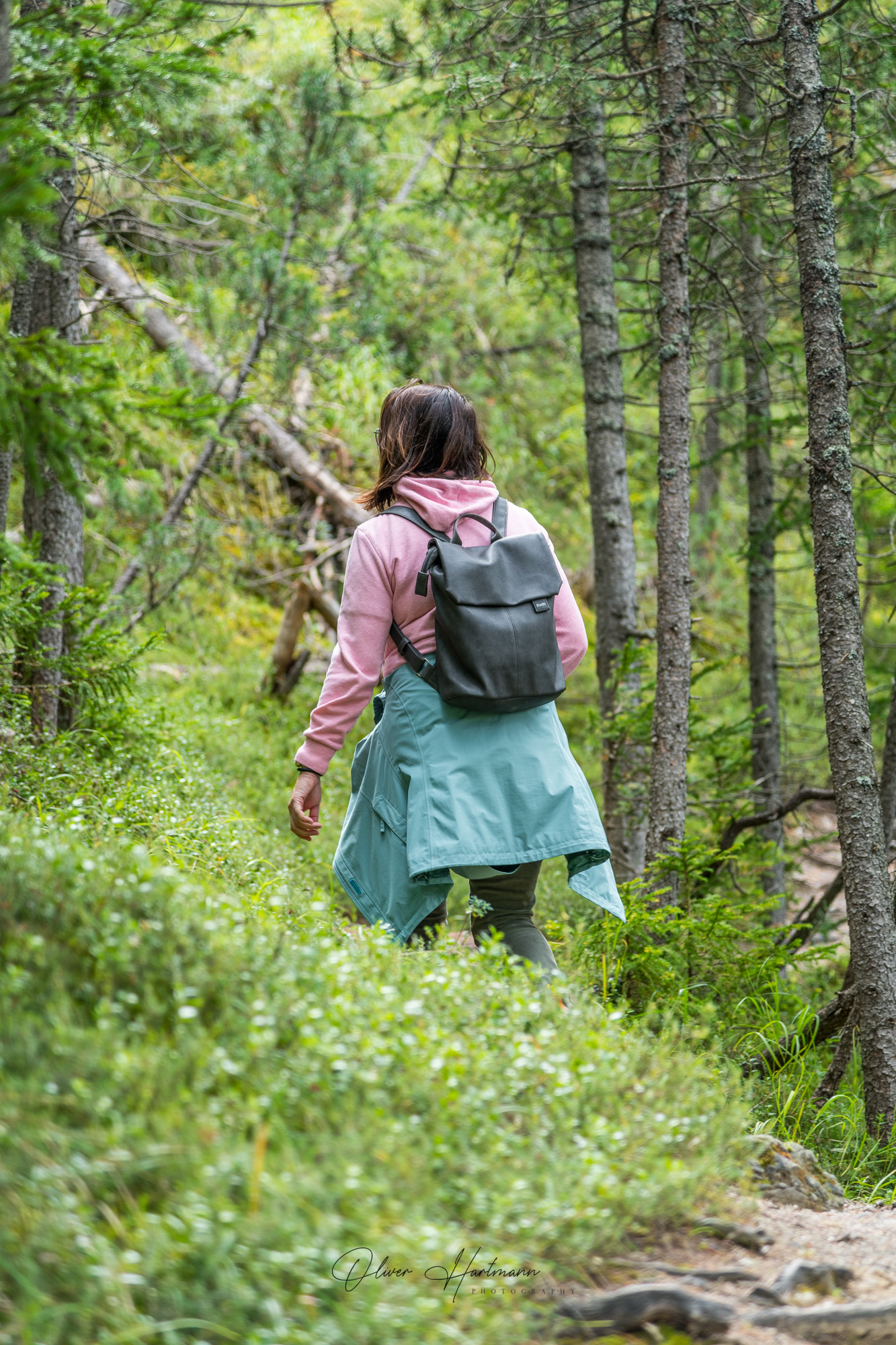 Bild ohne Beschreibung Bild ohne Beschreibung