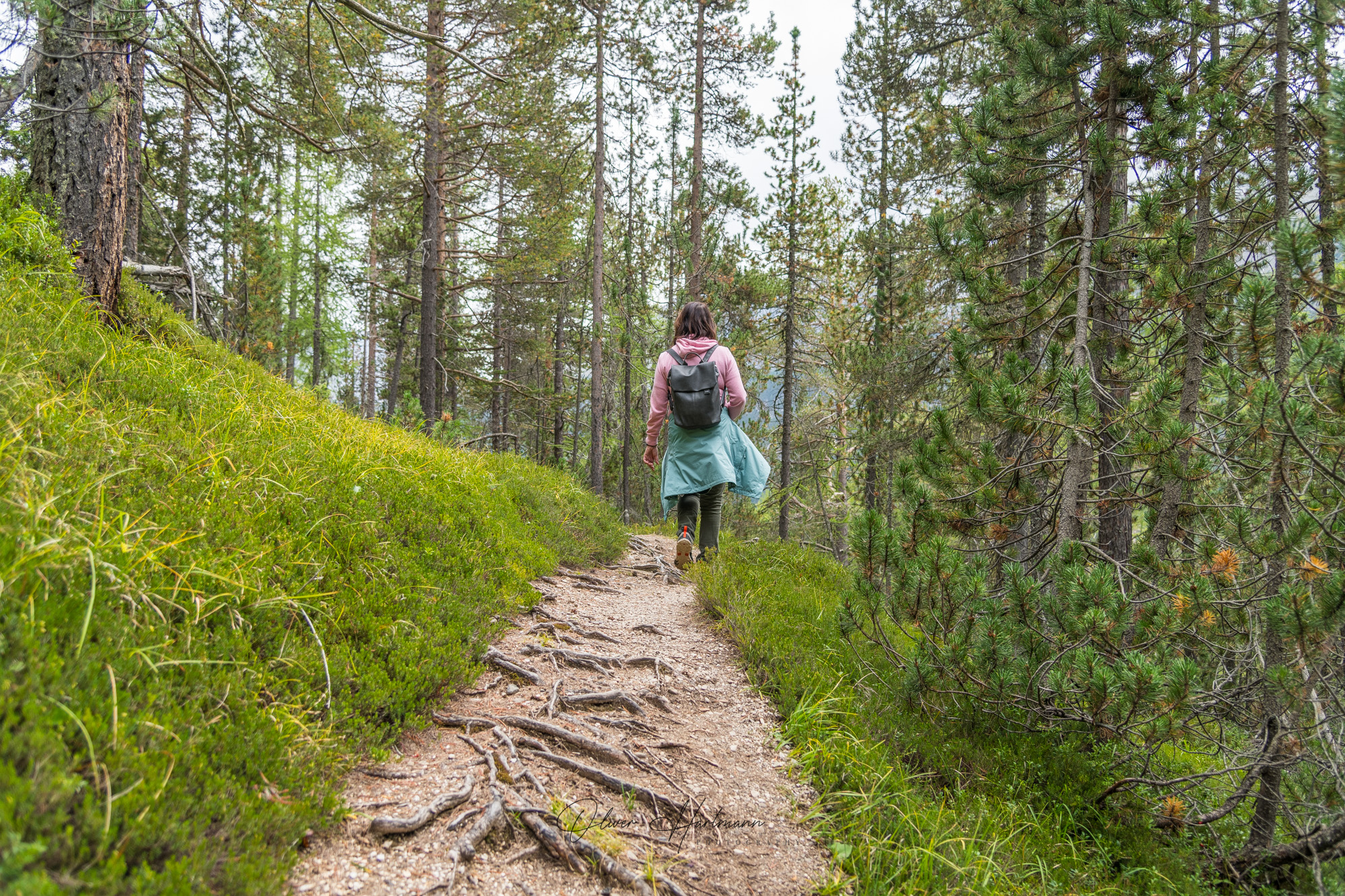 Bild ohne Beschreibung Bild ohne Beschreibung