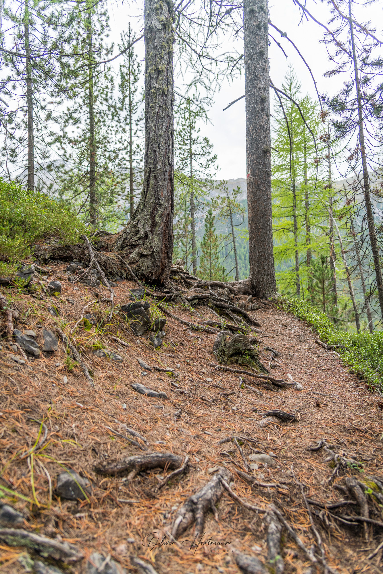 Bild ohne Beschreibung Bild ohne Beschreibung