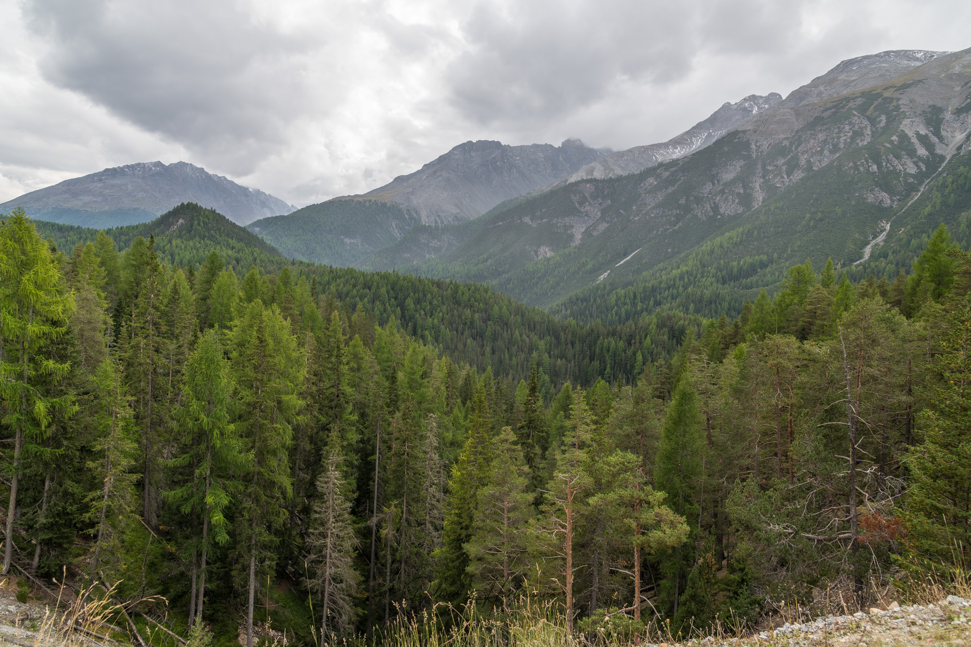 Bild ohne Beschreibung Bild ohne Beschreibung