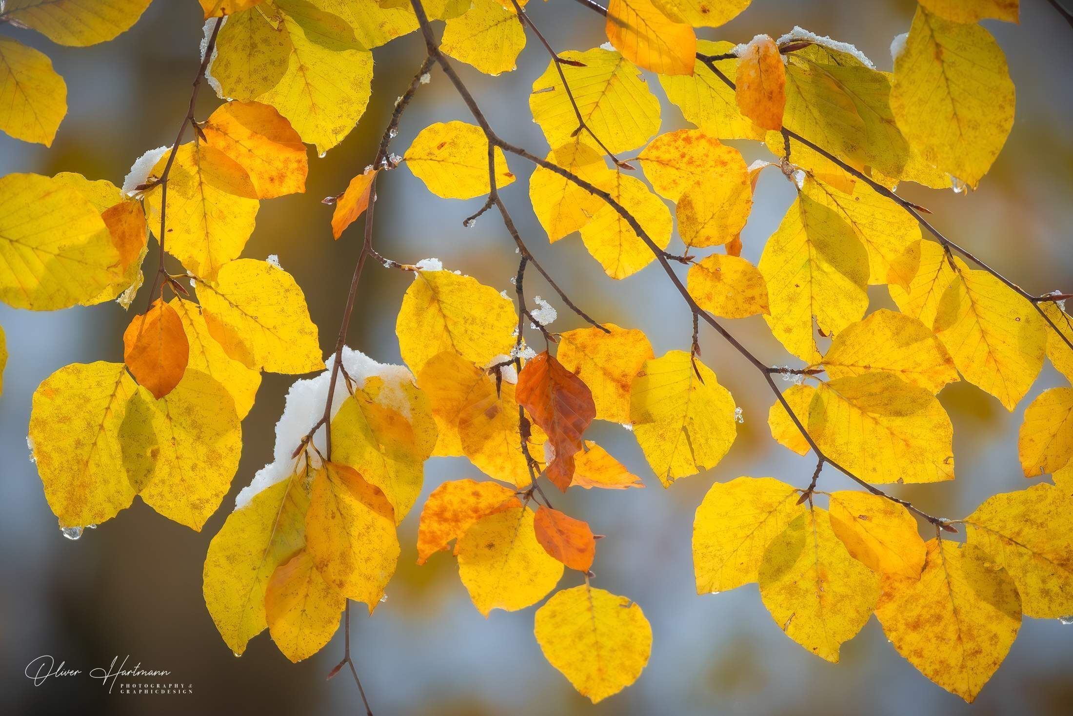 Bild ohne Beschreibung