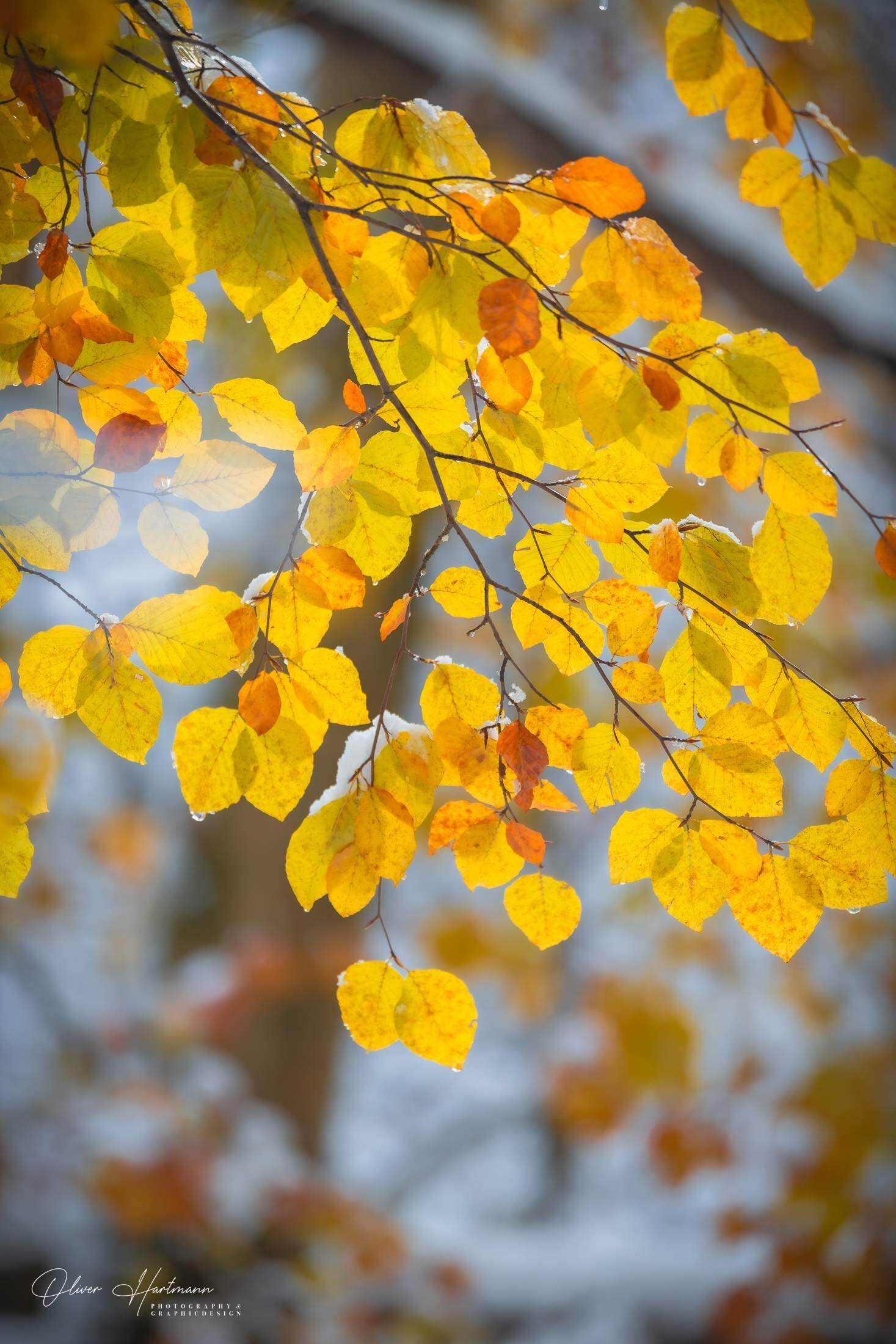 Bild ohne Beschreibung