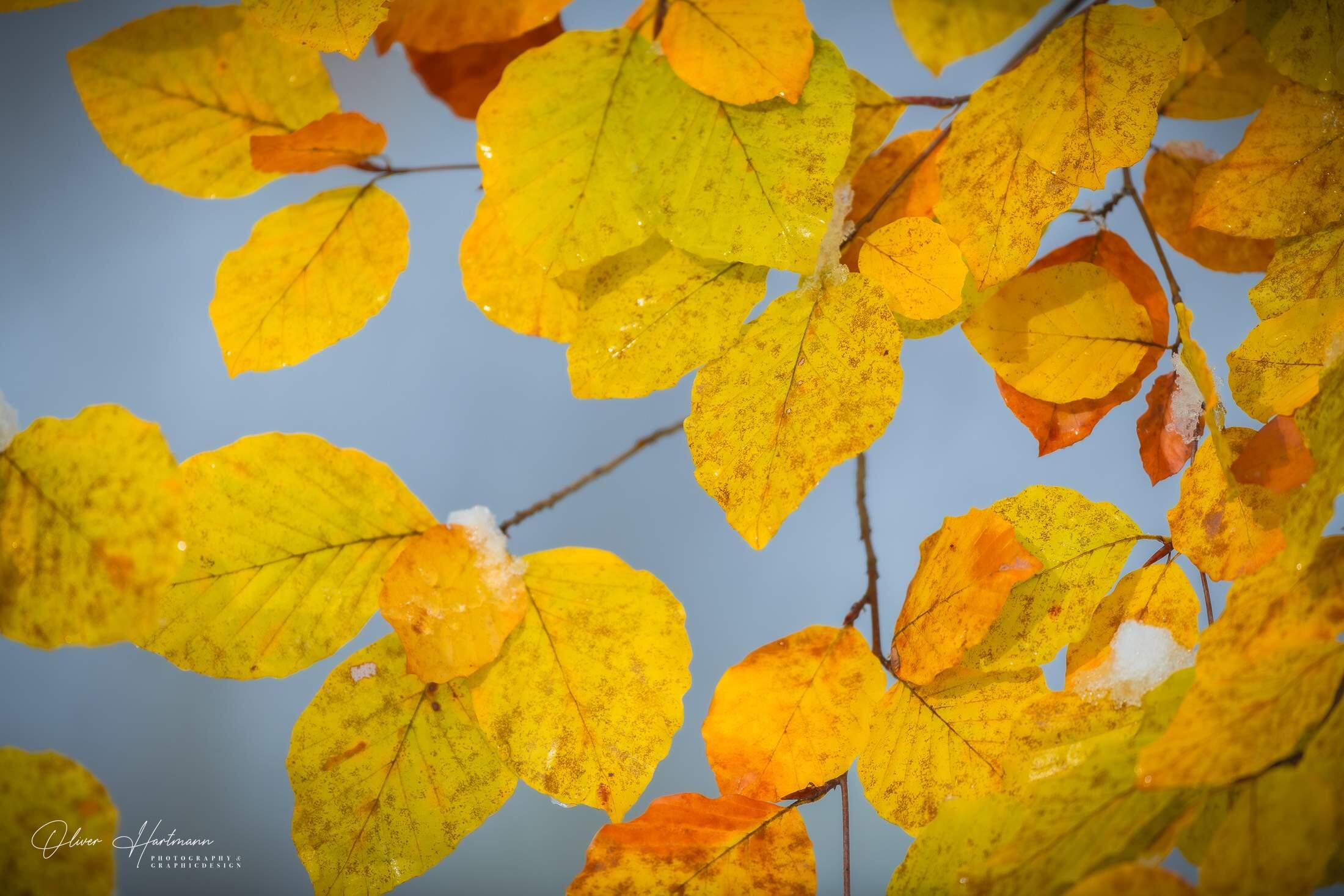 Bild ohne Beschreibung