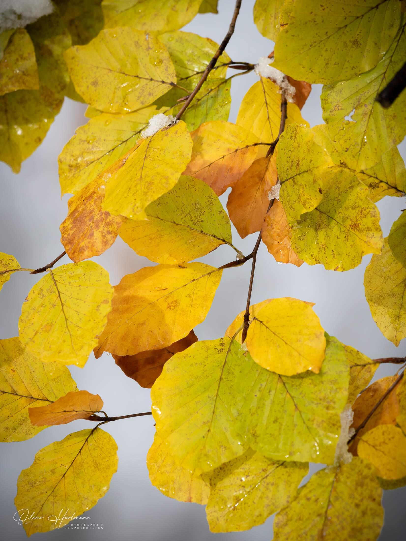 Bild ohne Beschreibung