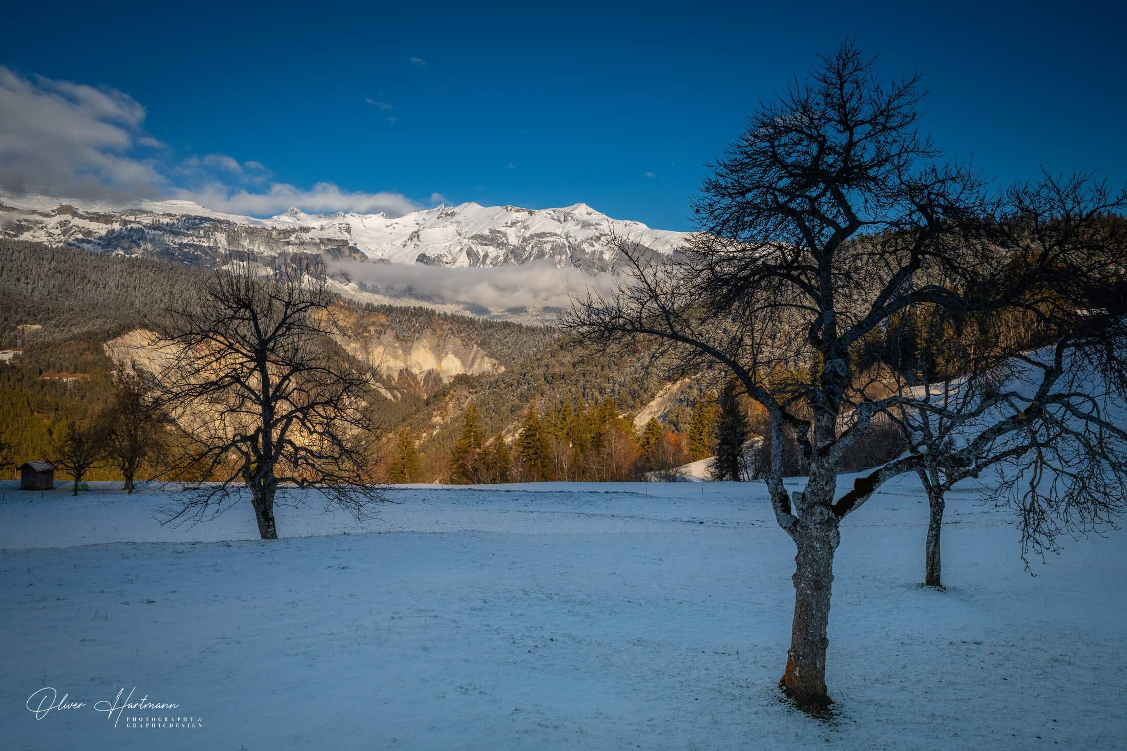 Bild ohne Beschreibung