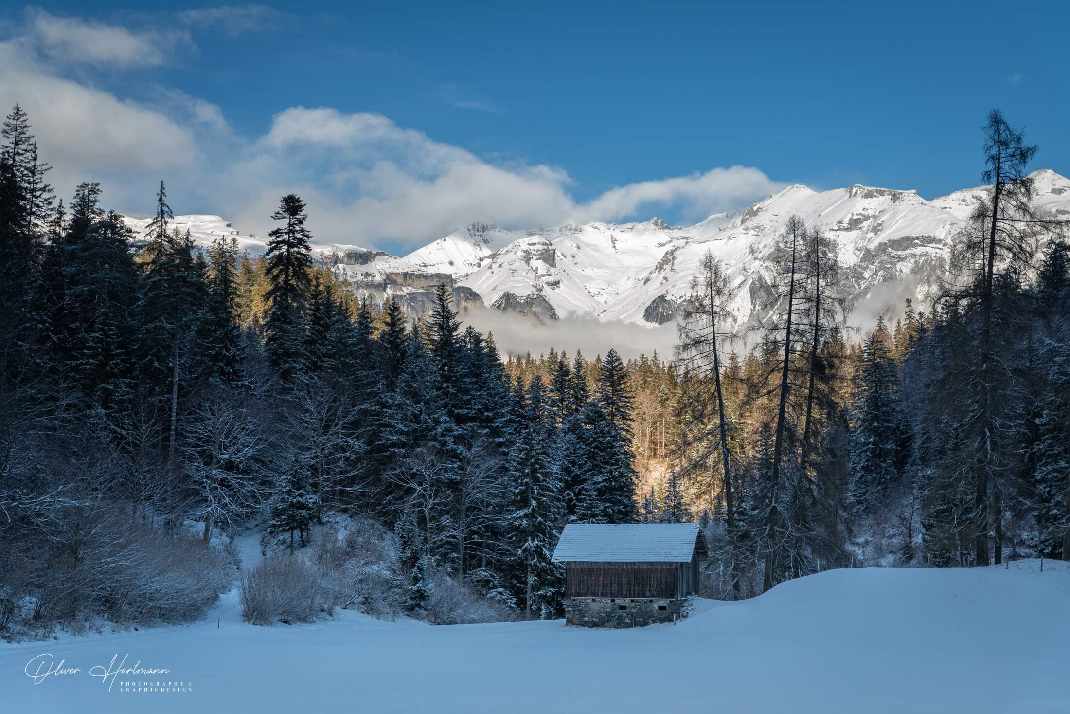 Bild ohne Beschreibung