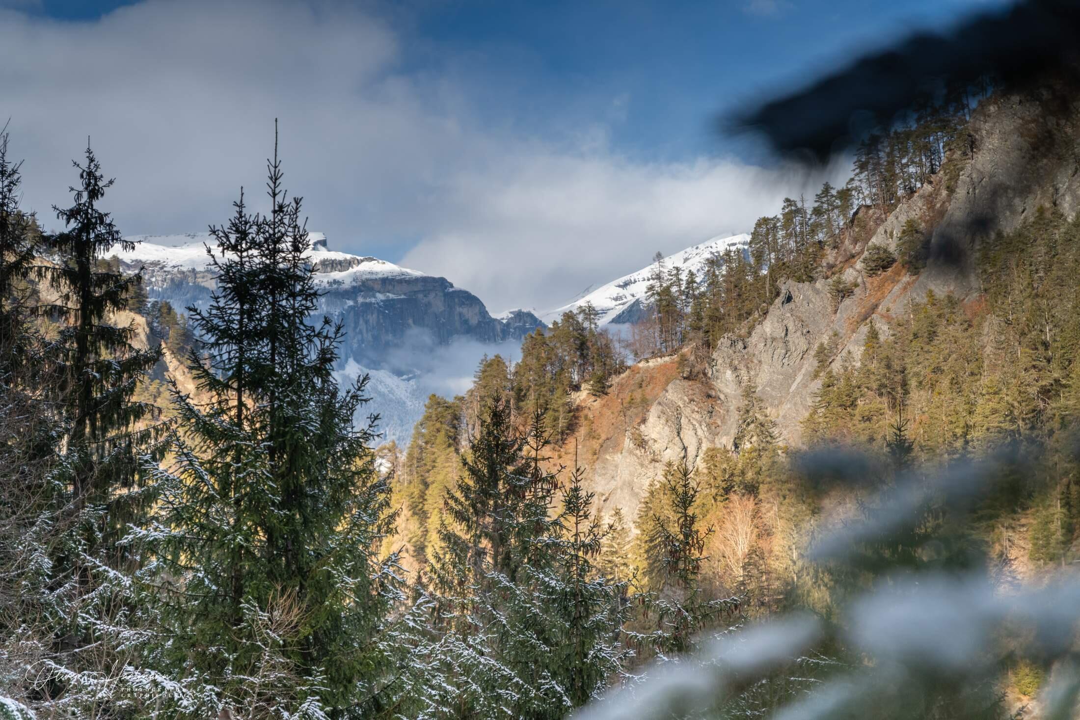 Bild ohne Beschreibung