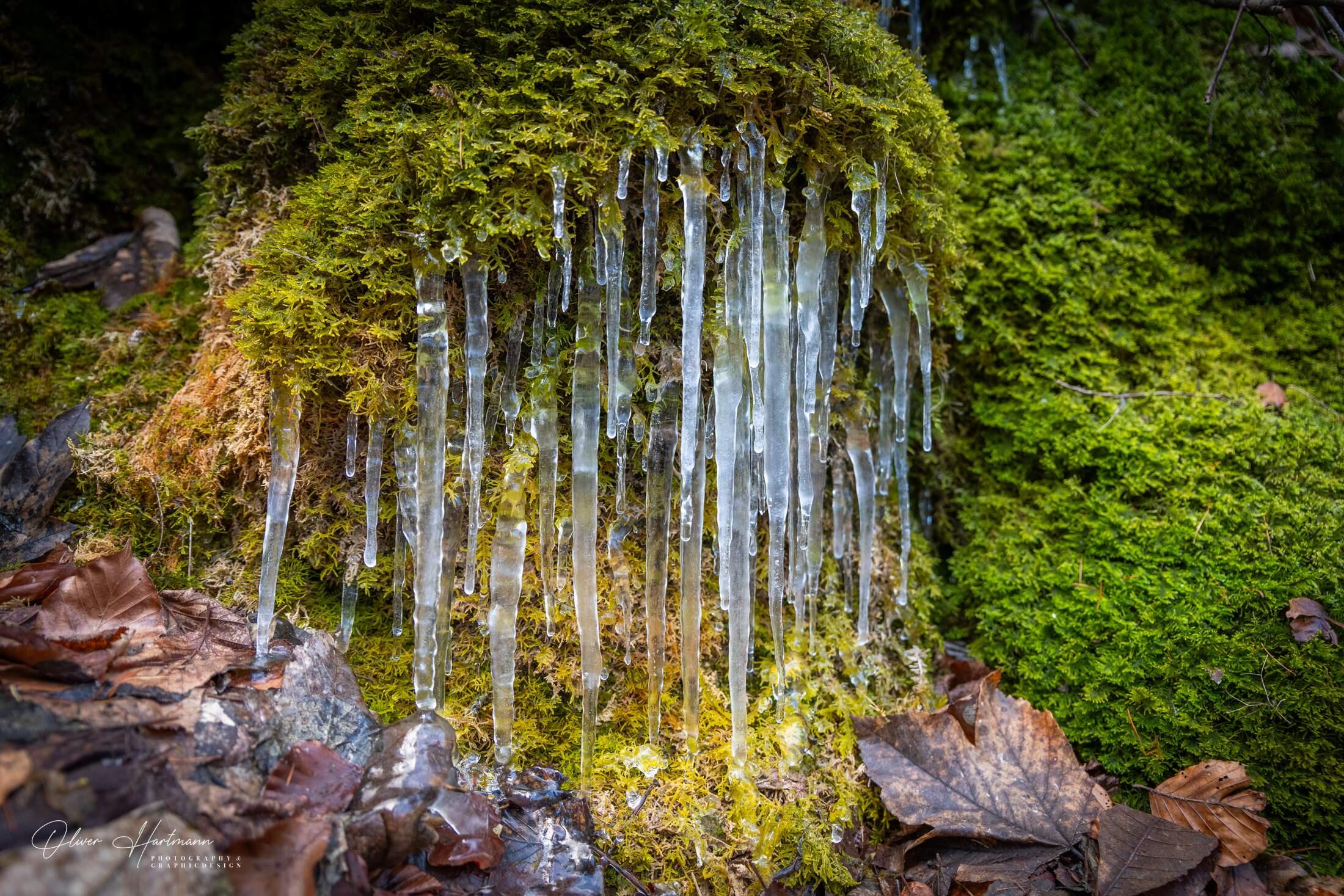 Bild ohne Beschreibung