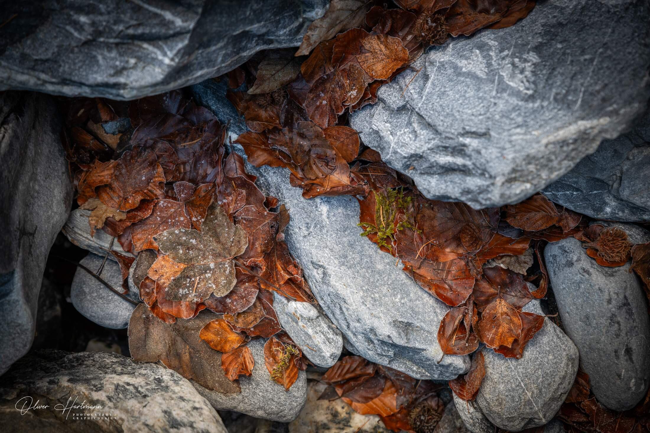 Bild ohne Beschreibung