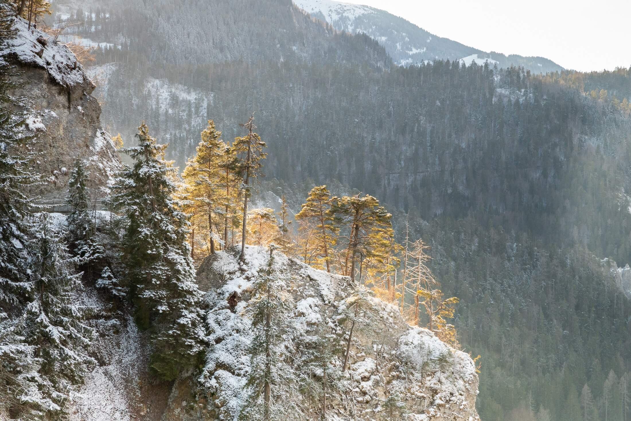 Bild ohne Beschreibung