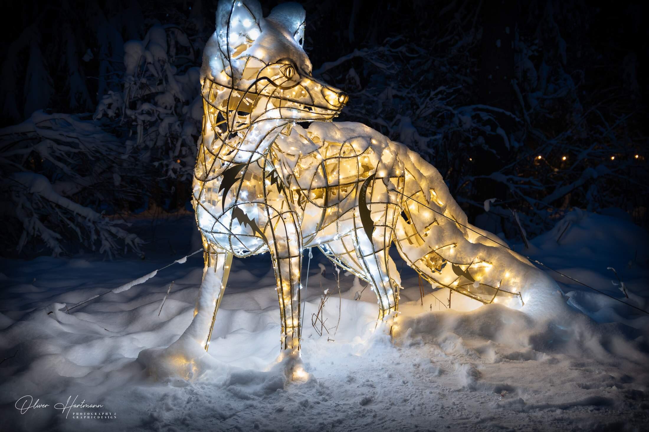 Bild ohne Beschreibung Bild ohne Beschreibung